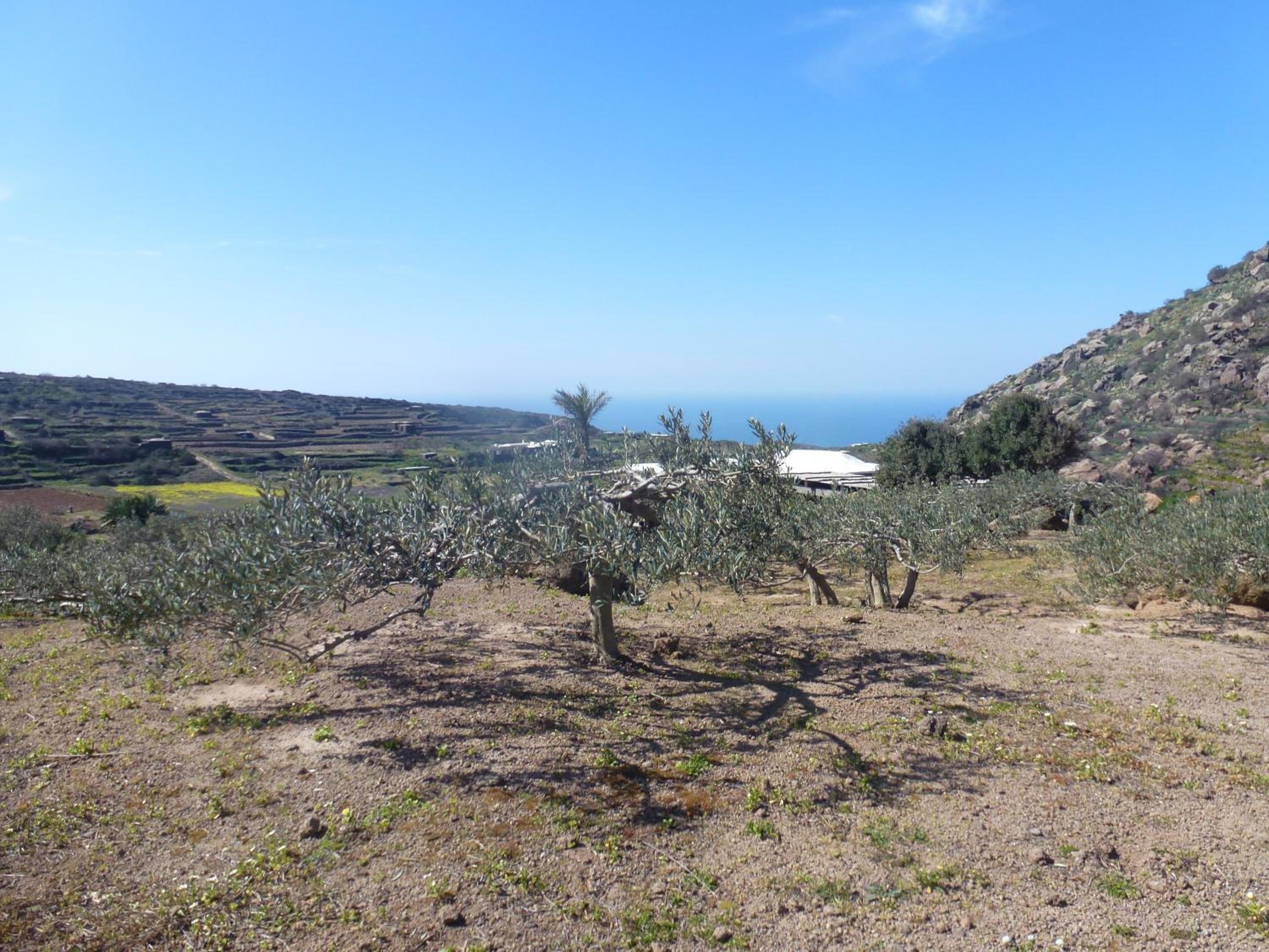 Dammusi IL SERRALH -Pantelleria-