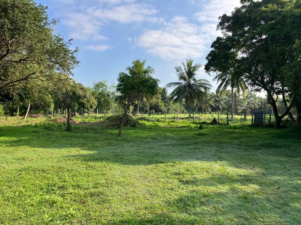 Nuwara Wewa Holiday Resort view 2
