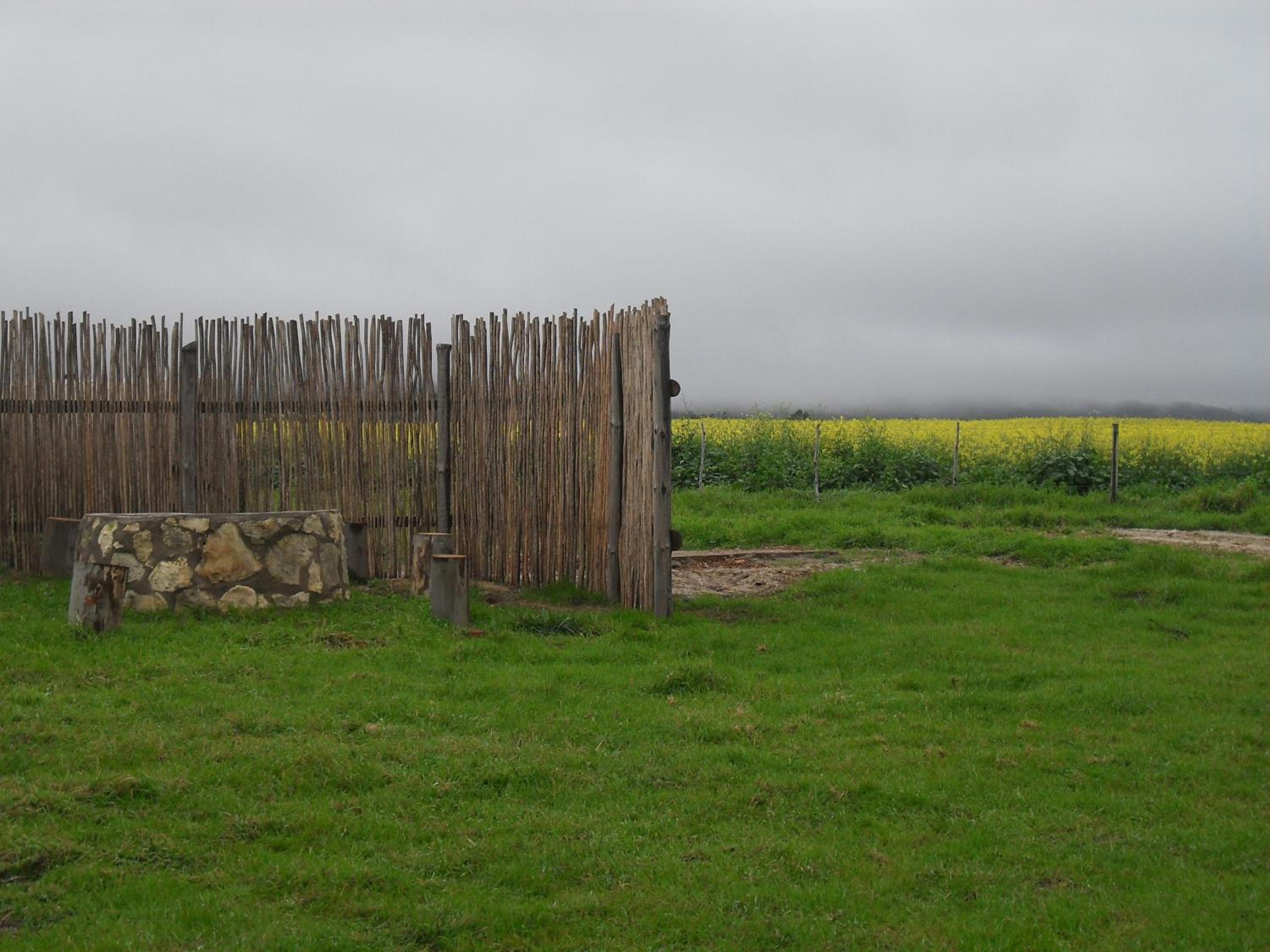 Photo 22