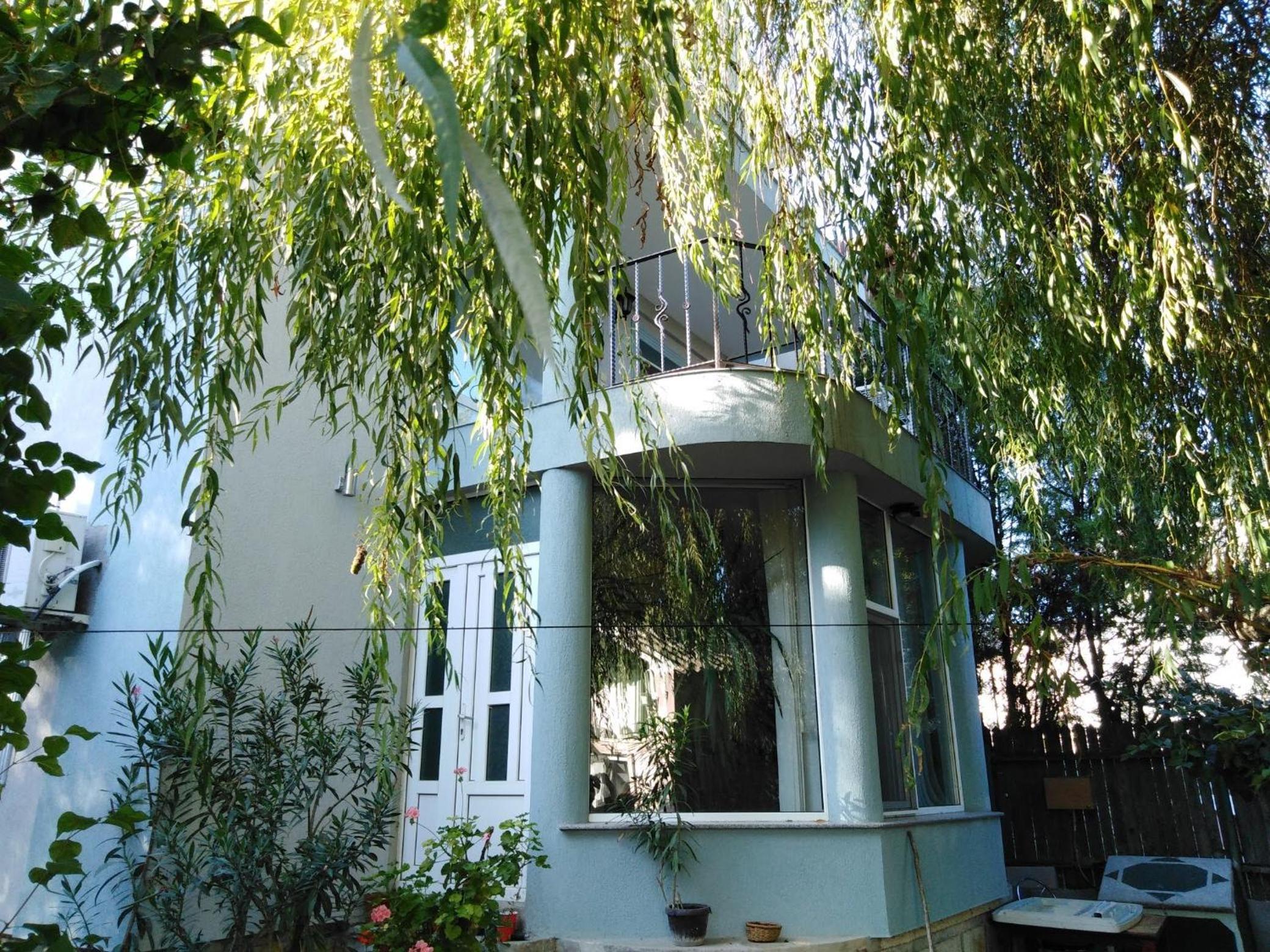 Photo 41