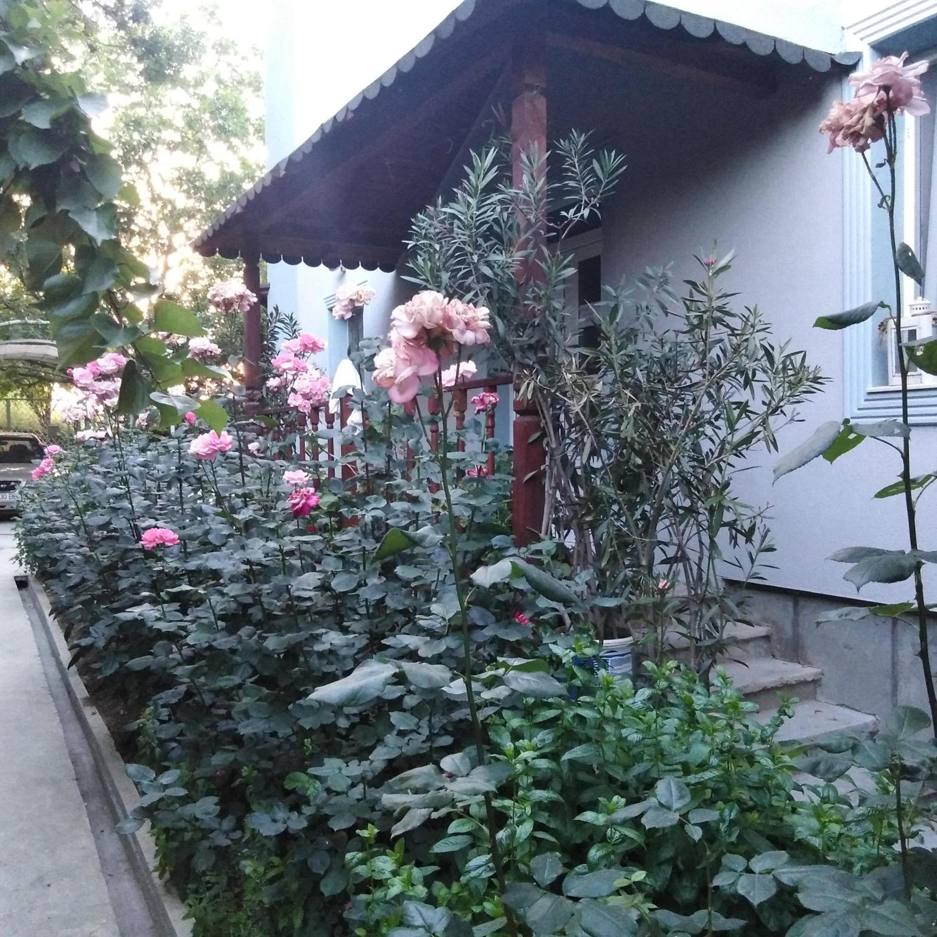 Photo 40