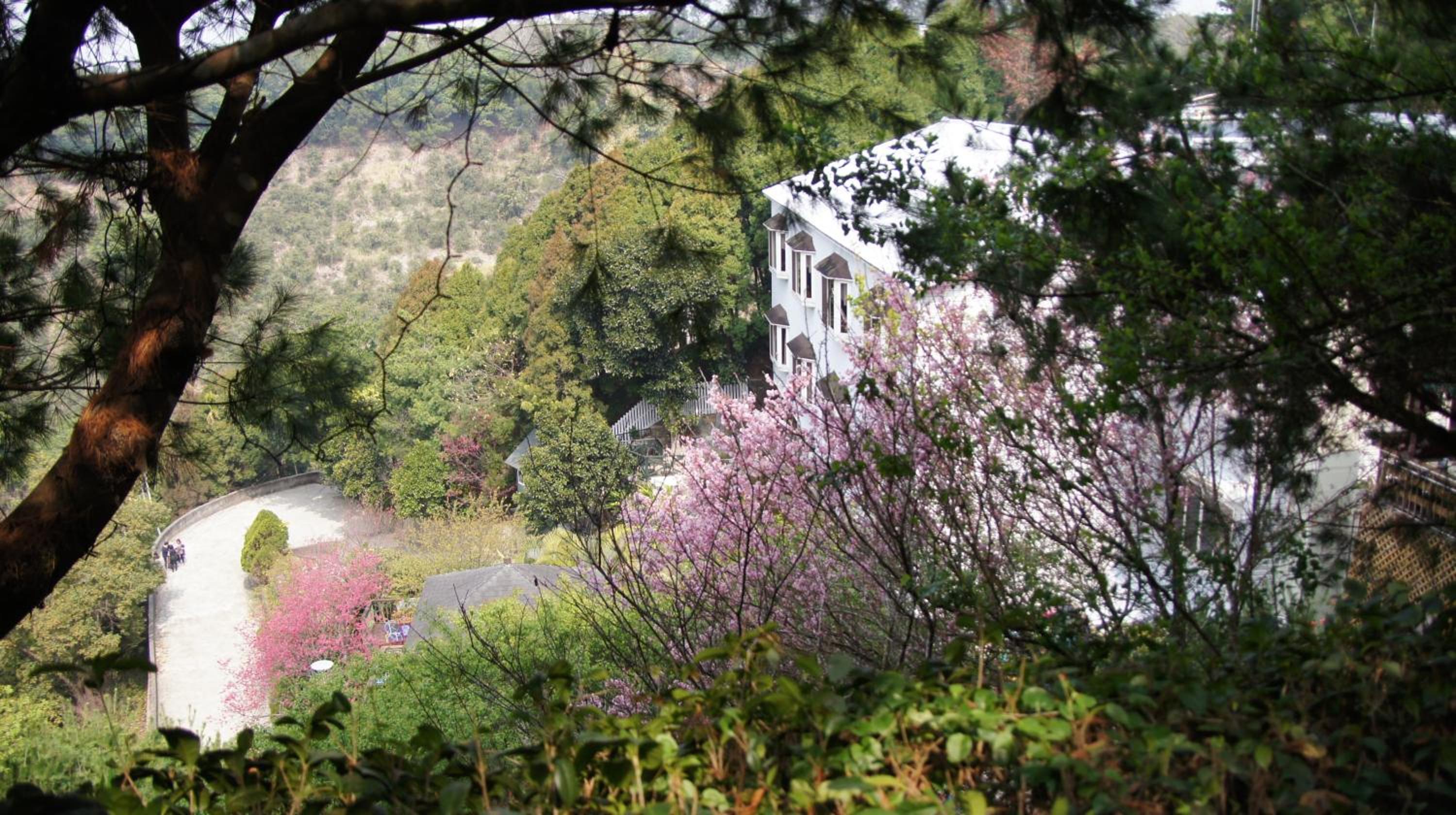 Meteor Garden B&B view 3