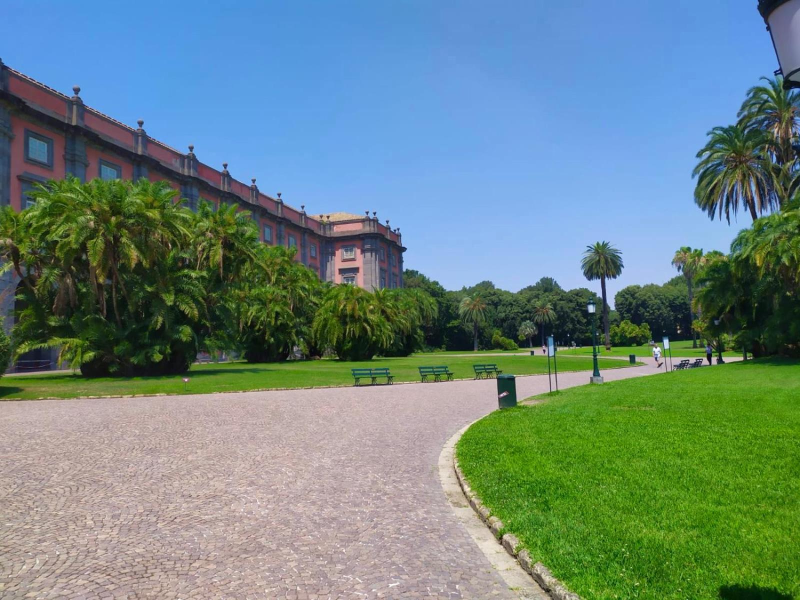 Vico Longo 25 - Ensuit flat in the heart of Naples