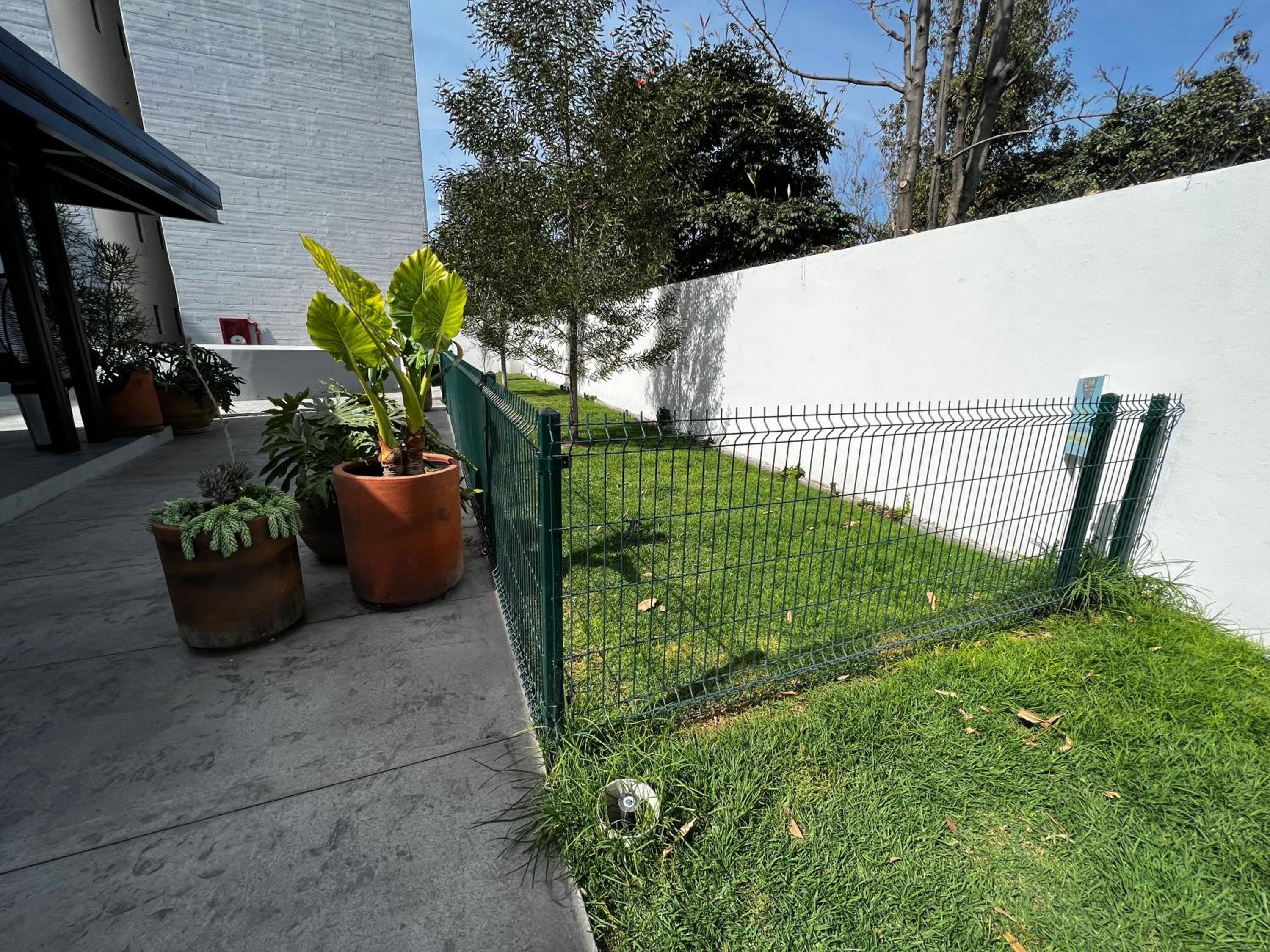 Photo 31
