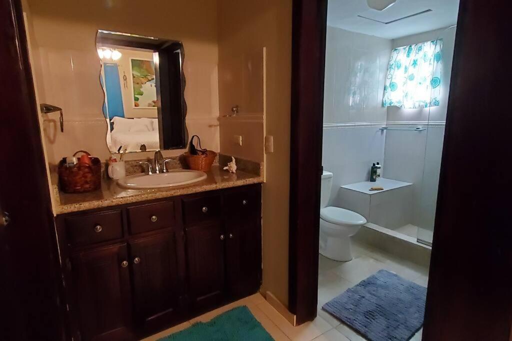 Dominican Art 2 Bedroom condo El Cortecito view 4