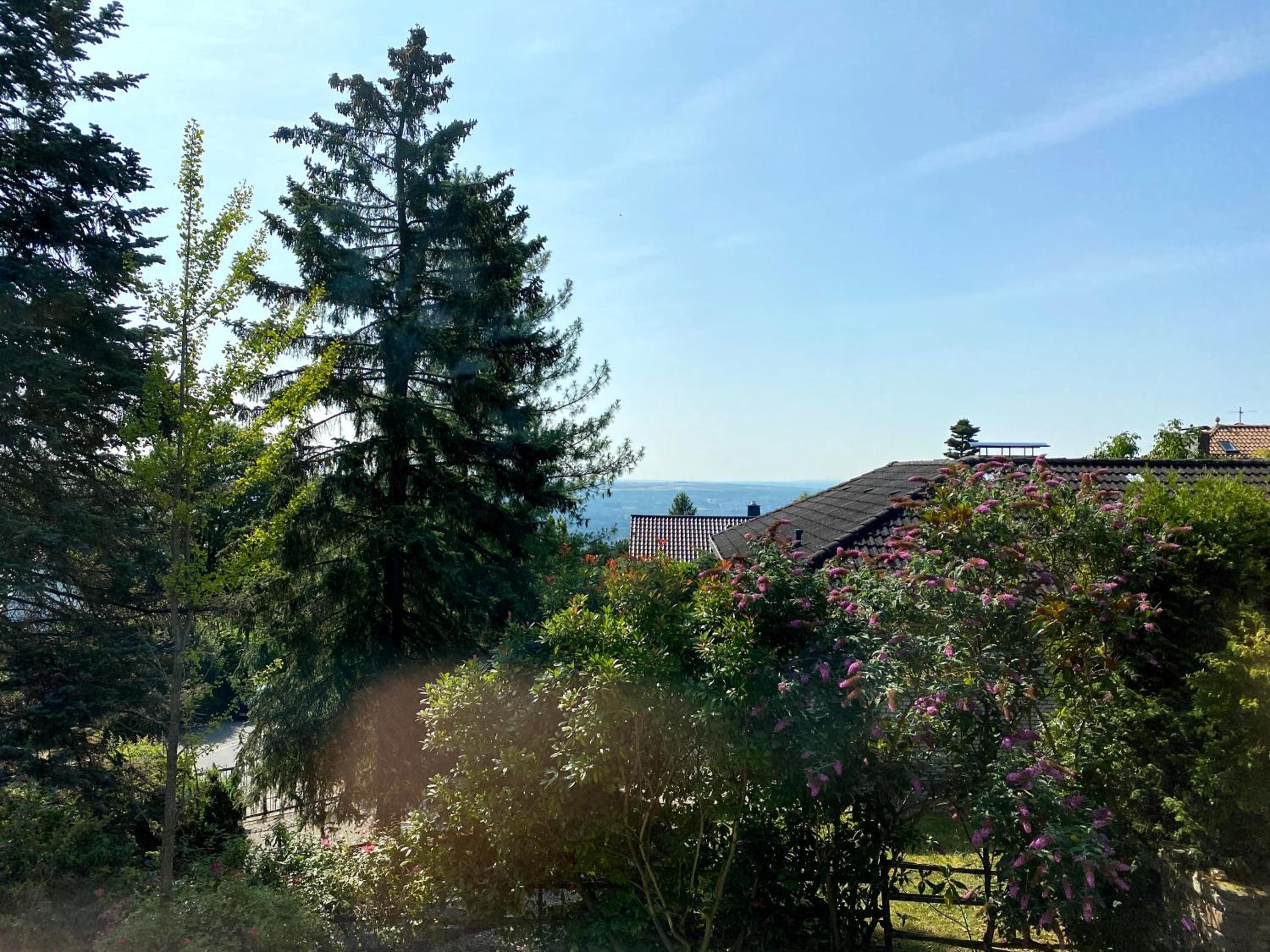 BALTHASAR RESS Guesthouse am Rebhang im Rheingau