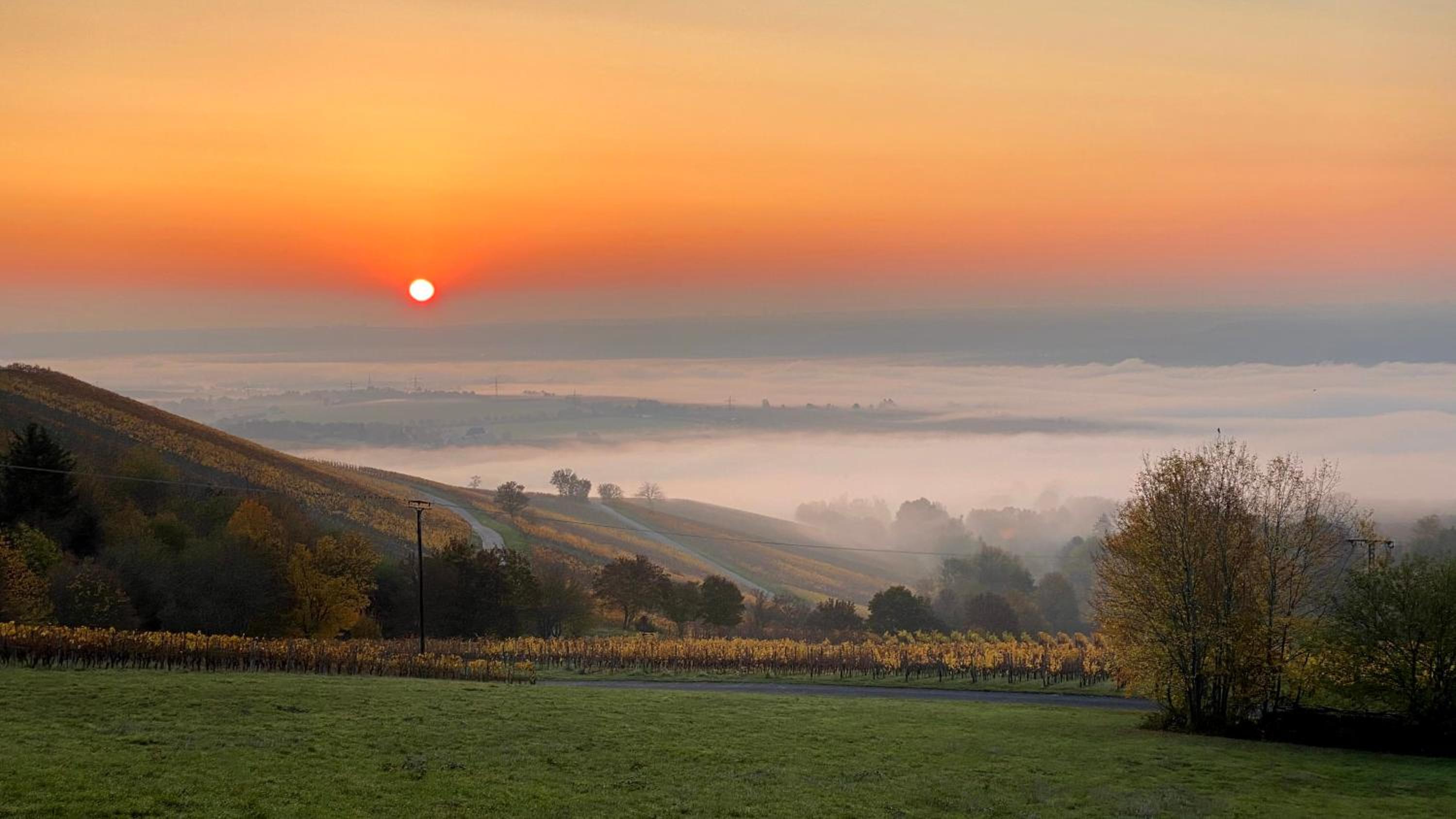 BALTHASAR RESS Guesthouse am Rebhang im Rheingau