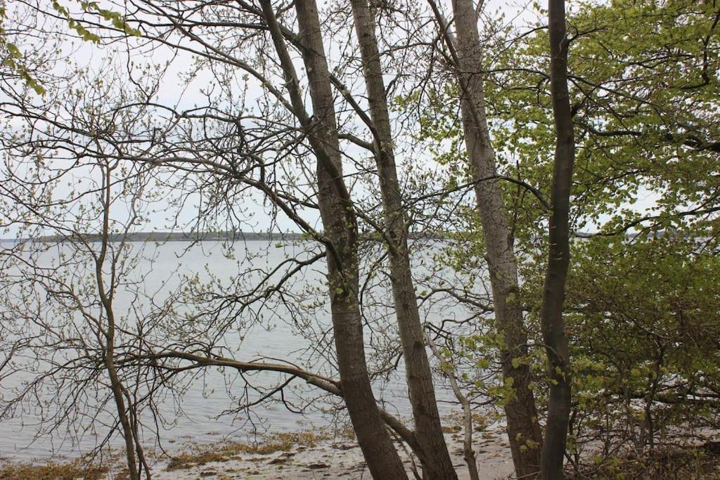 Photo 34
