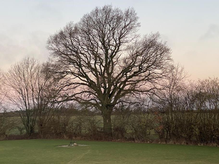 Eskærhus på Tåsinge, tæt på Svendborg - Afdeling med egen indgang view 2