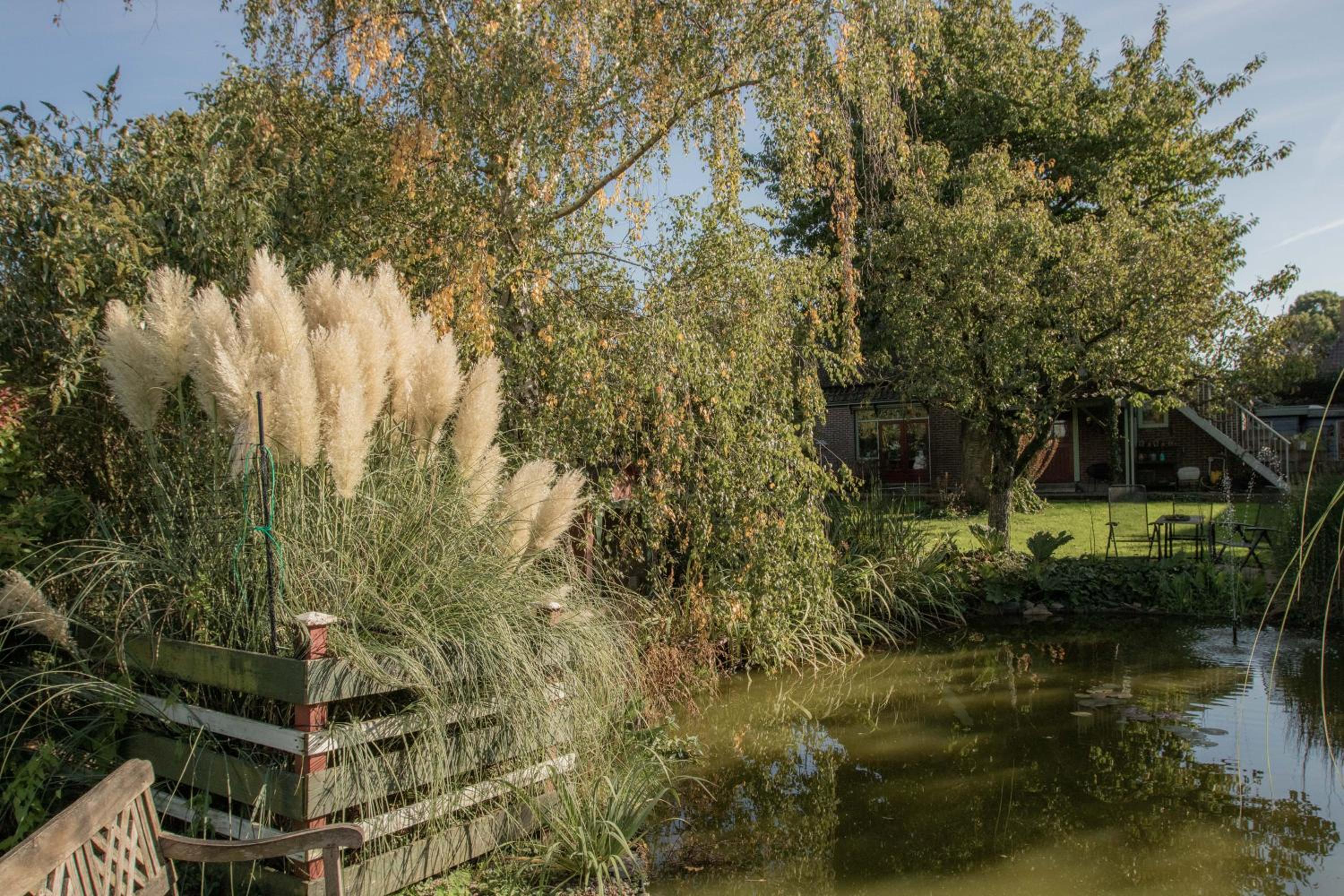 Chalet Ben in Broek