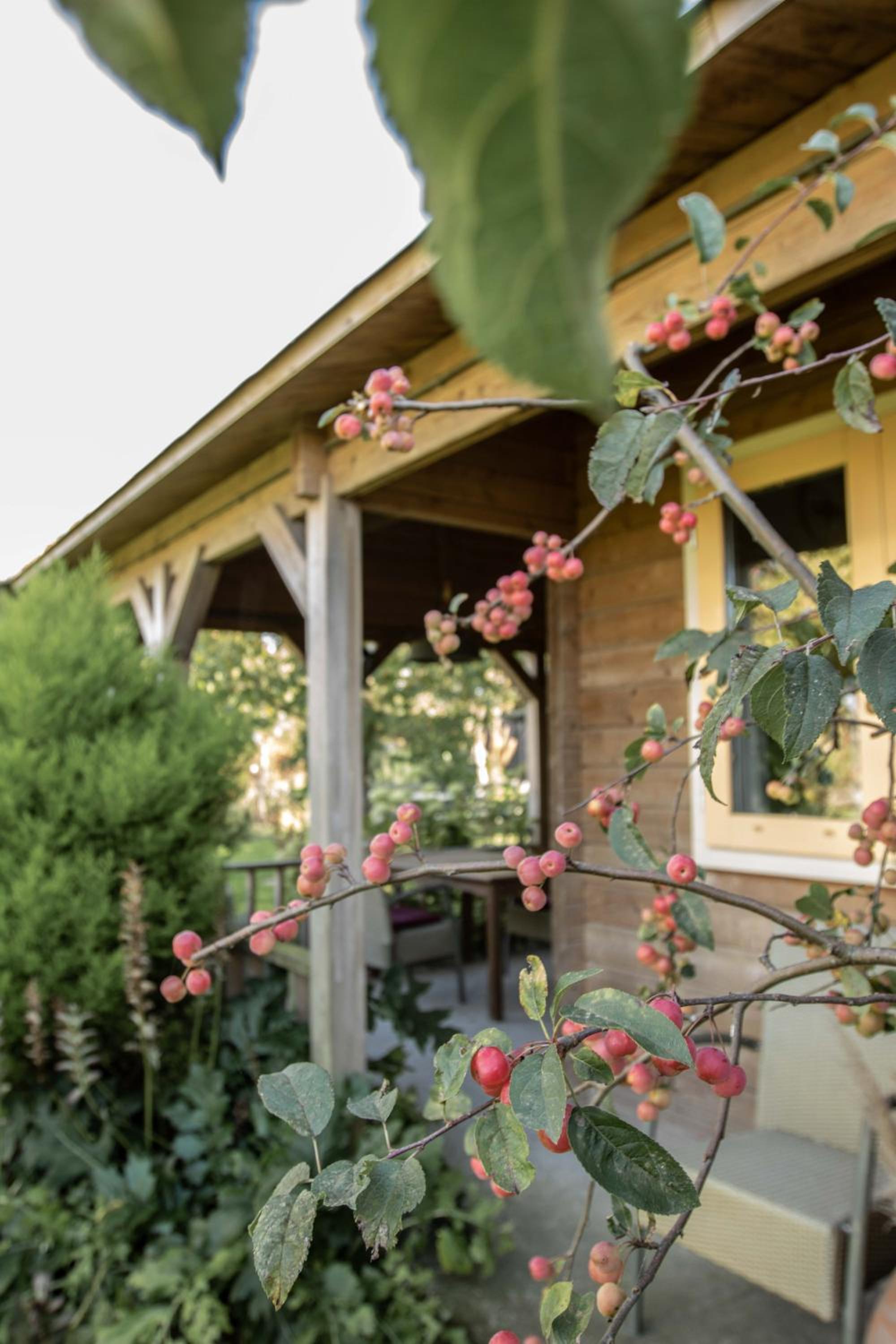 Chalet Ben in Broek