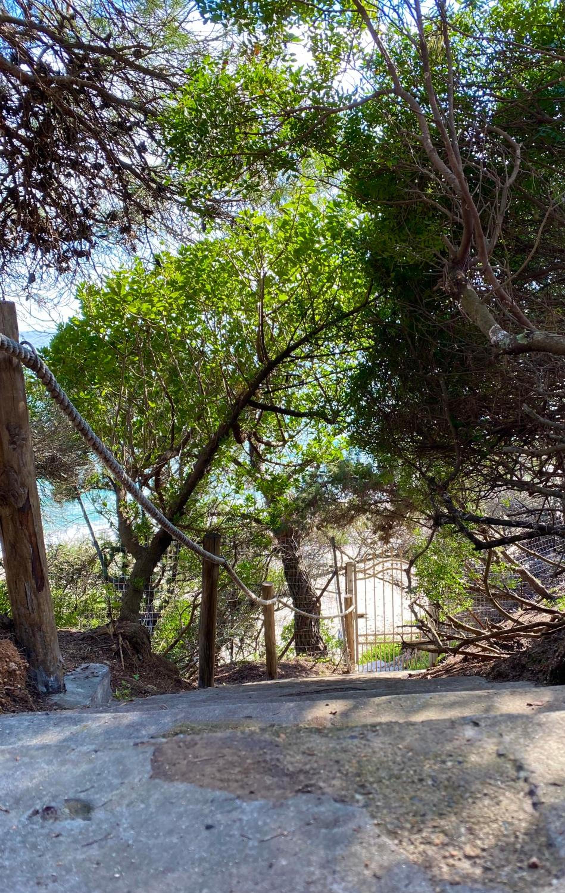 Villa Belinda photo 5