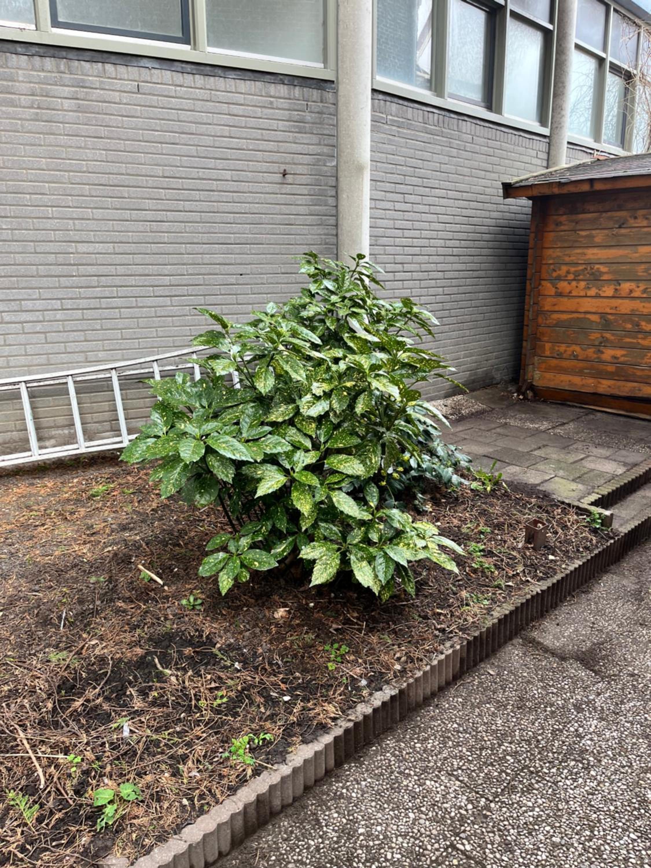 Photo 16