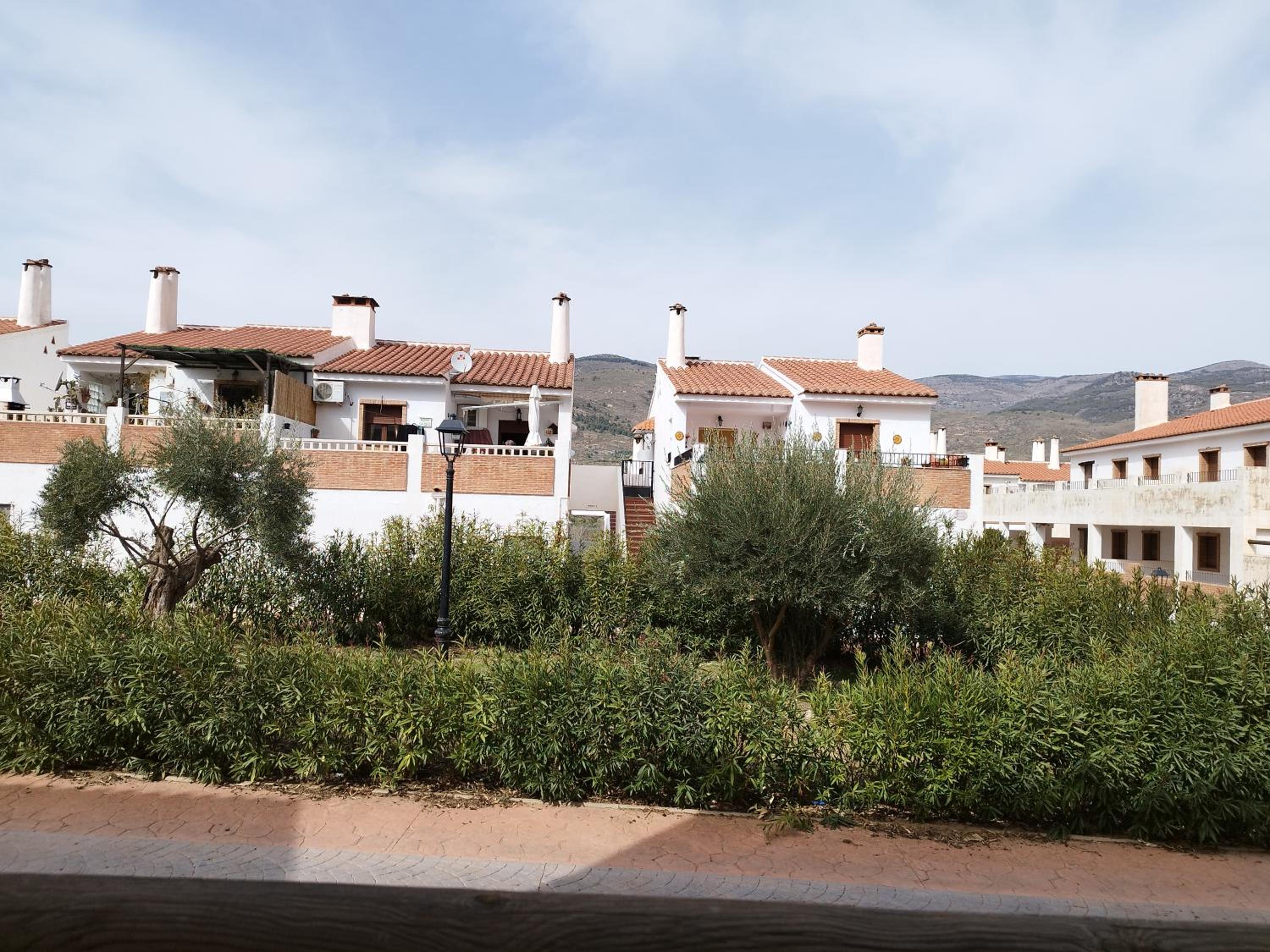 Los Olivos de Fondon