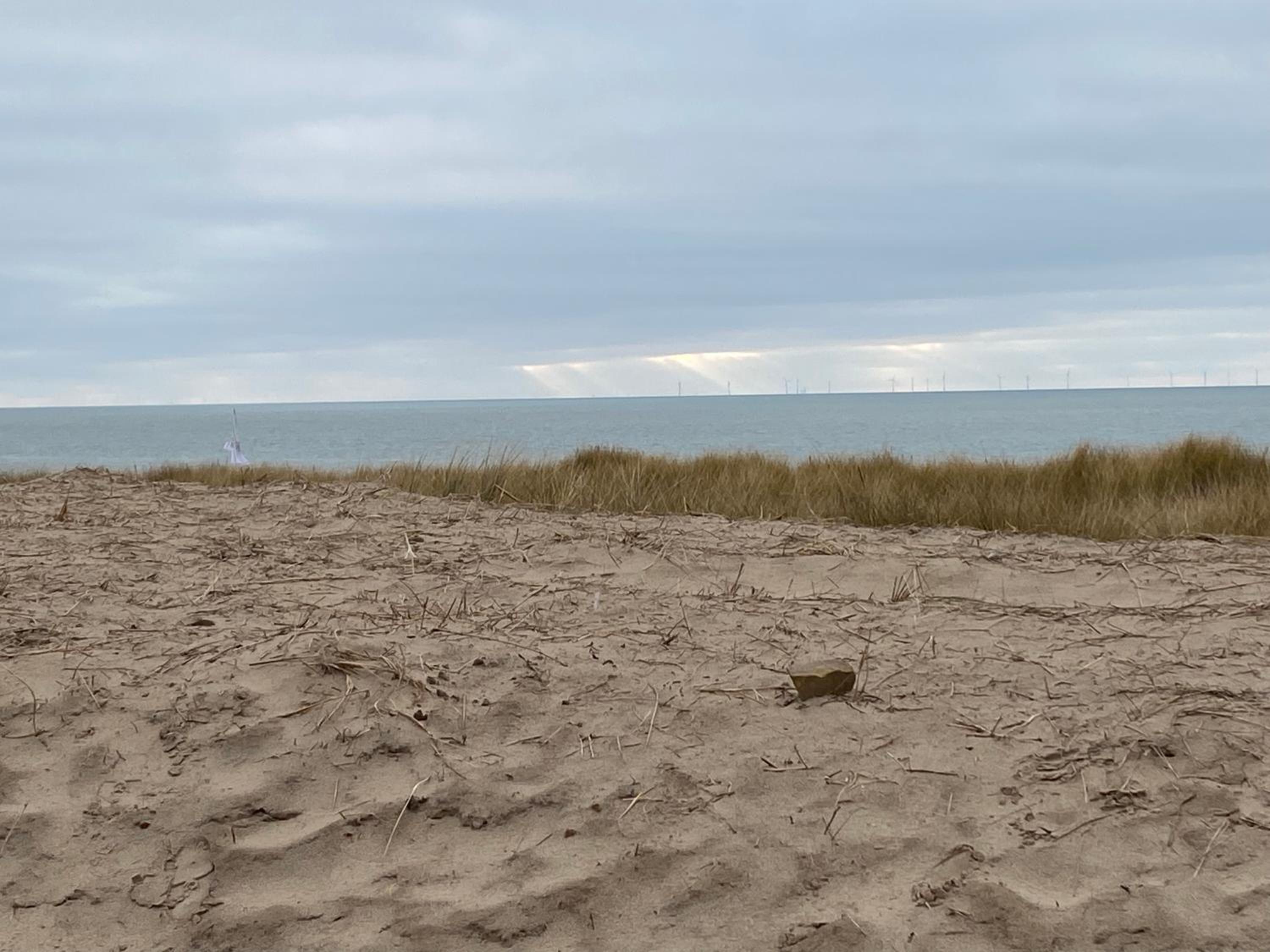 Het Zeepaardje