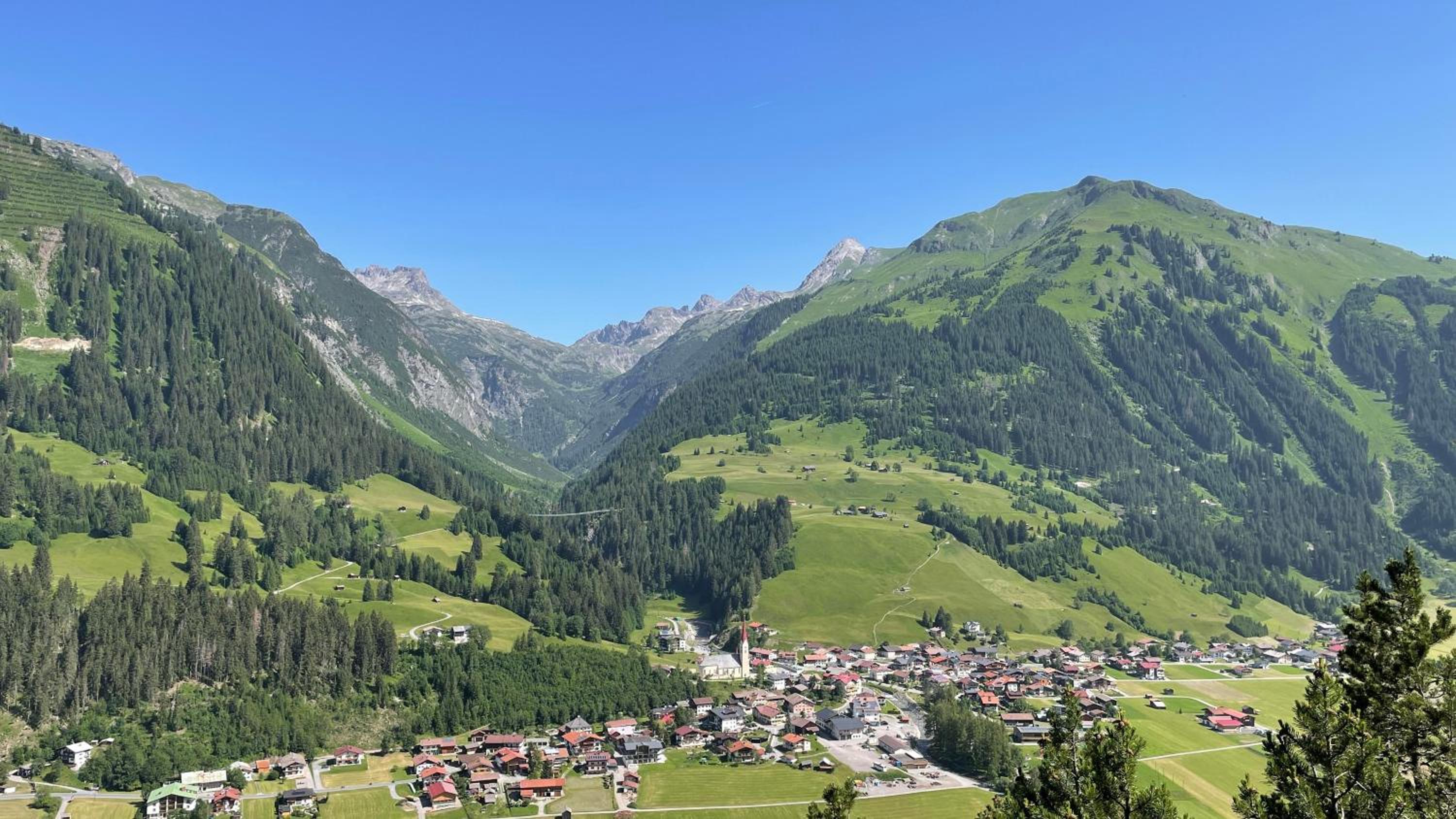 Die Holzgauerin