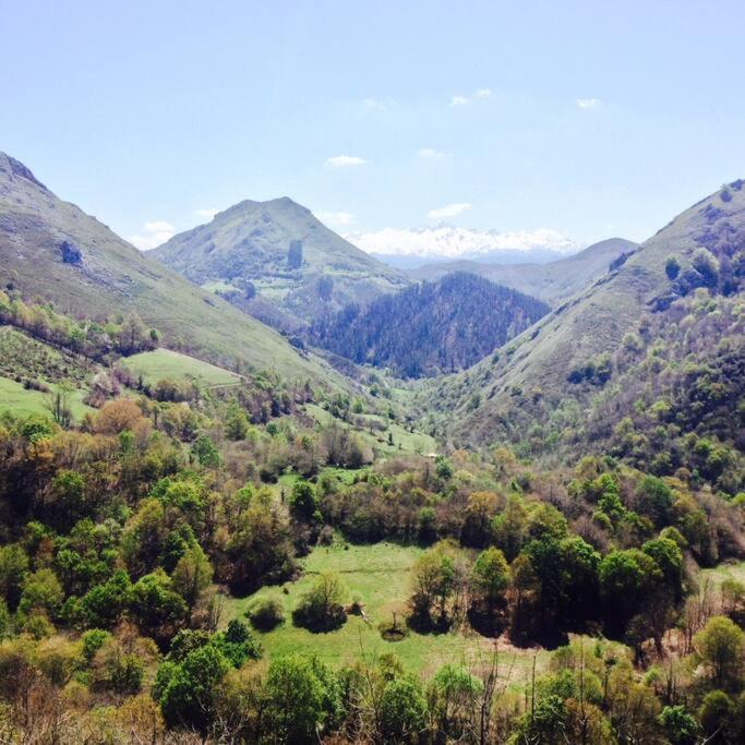 La cabaña de la granxa view 5