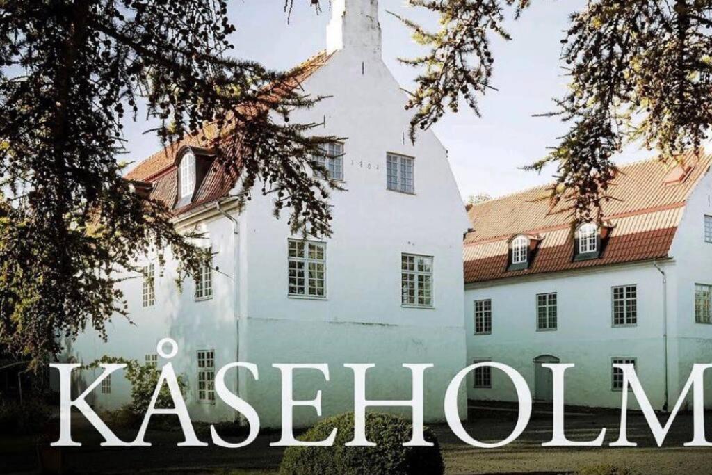 Castle Apartment in Österlen - The Thott Suite view 4
