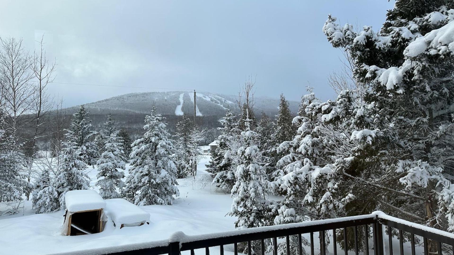 Chalet Bellevue (Mont-Comi)