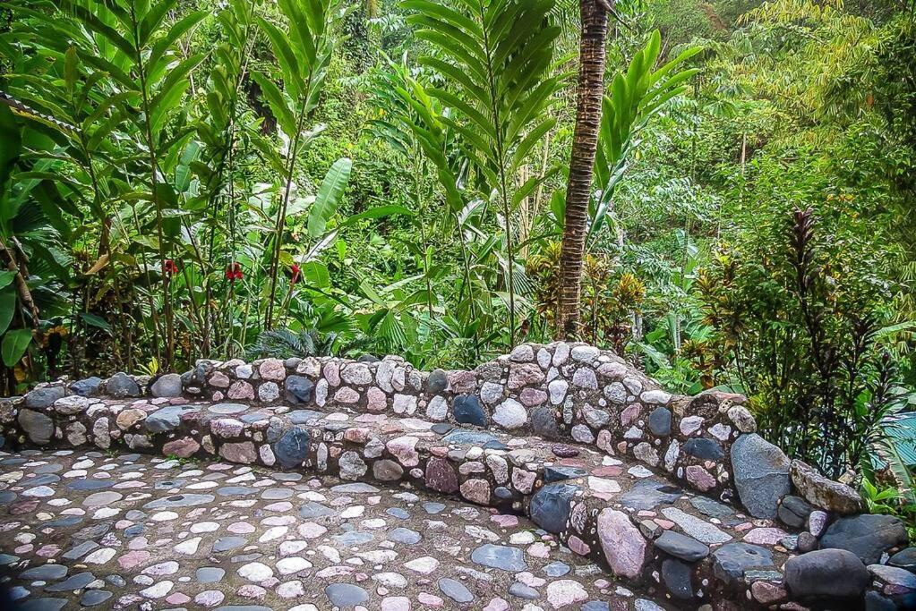 Casa Aire Libre - Jungle immersion - Natural pool - Waterfall
