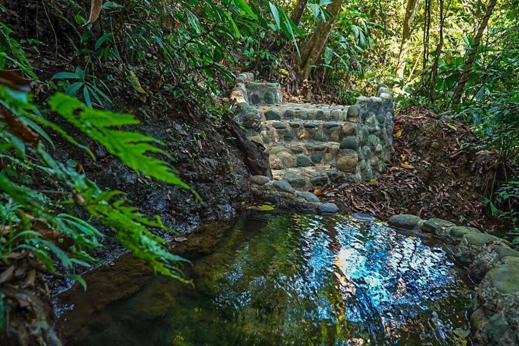 Casa Aire Libre - Jungle immersion - Natural pool - Waterfall