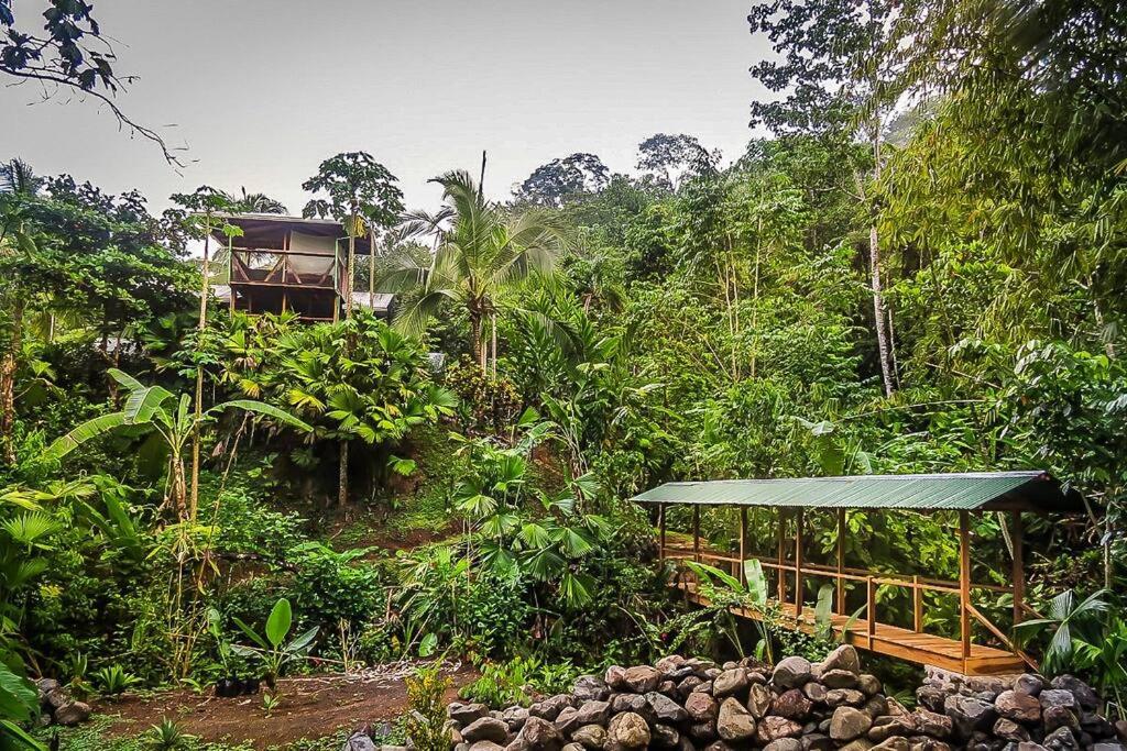 Casa Aire Libre - Jungle immersion - Natural pool - Waterfall
