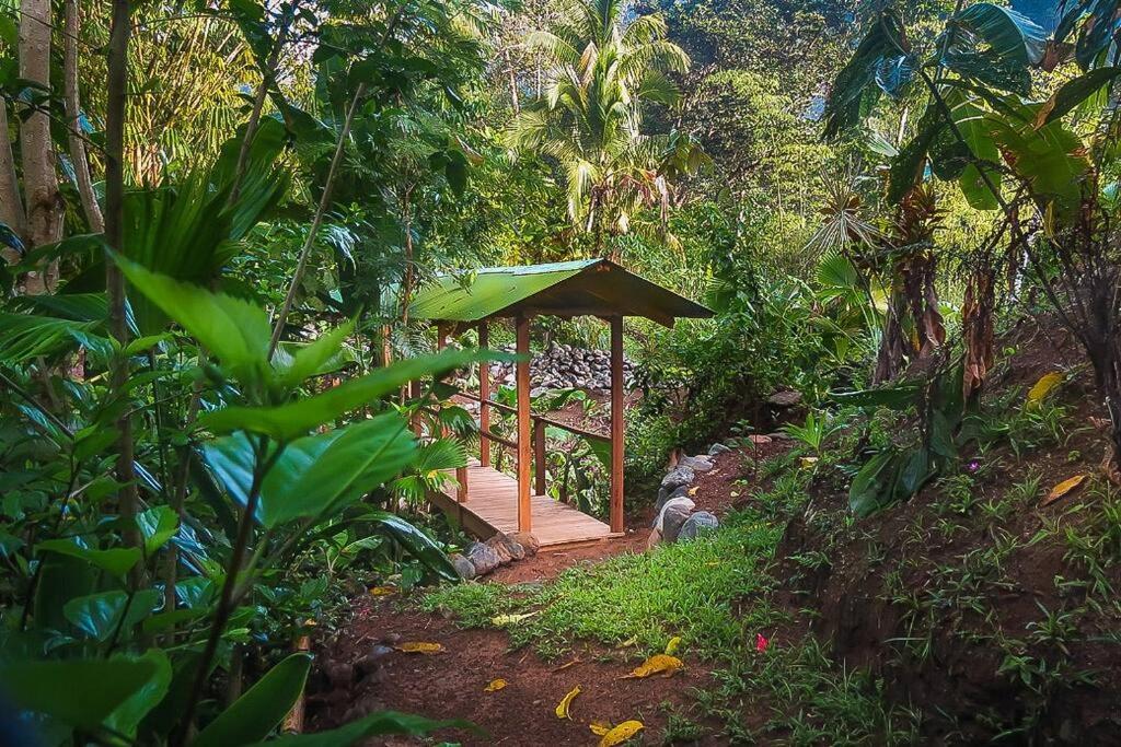 Casa Aire Libre - Jungle immersion - Natural pool - Waterfall