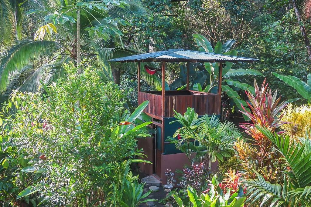Casa Aire Libre - Jungle immersion - Natural pool - Waterfall