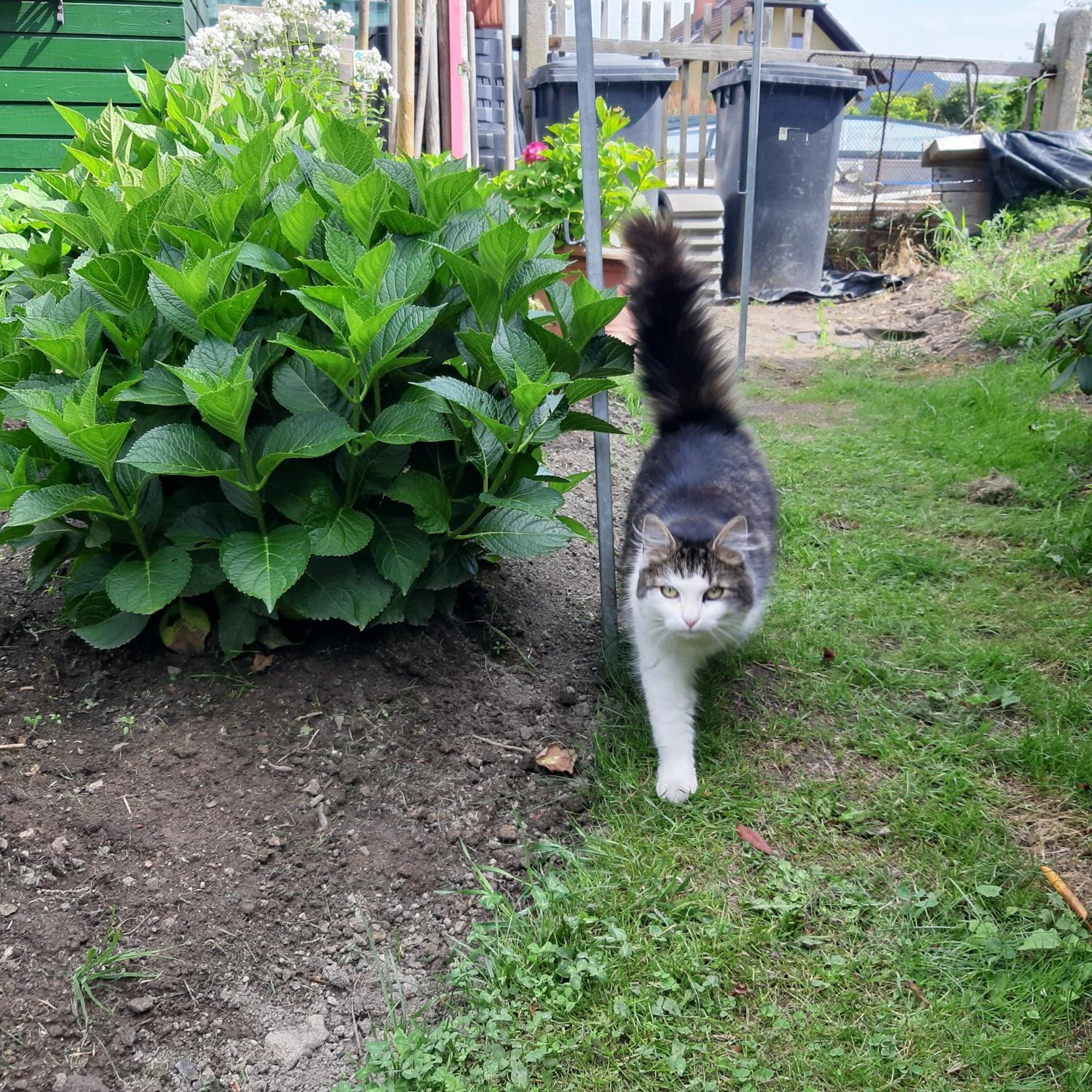 Photo 25