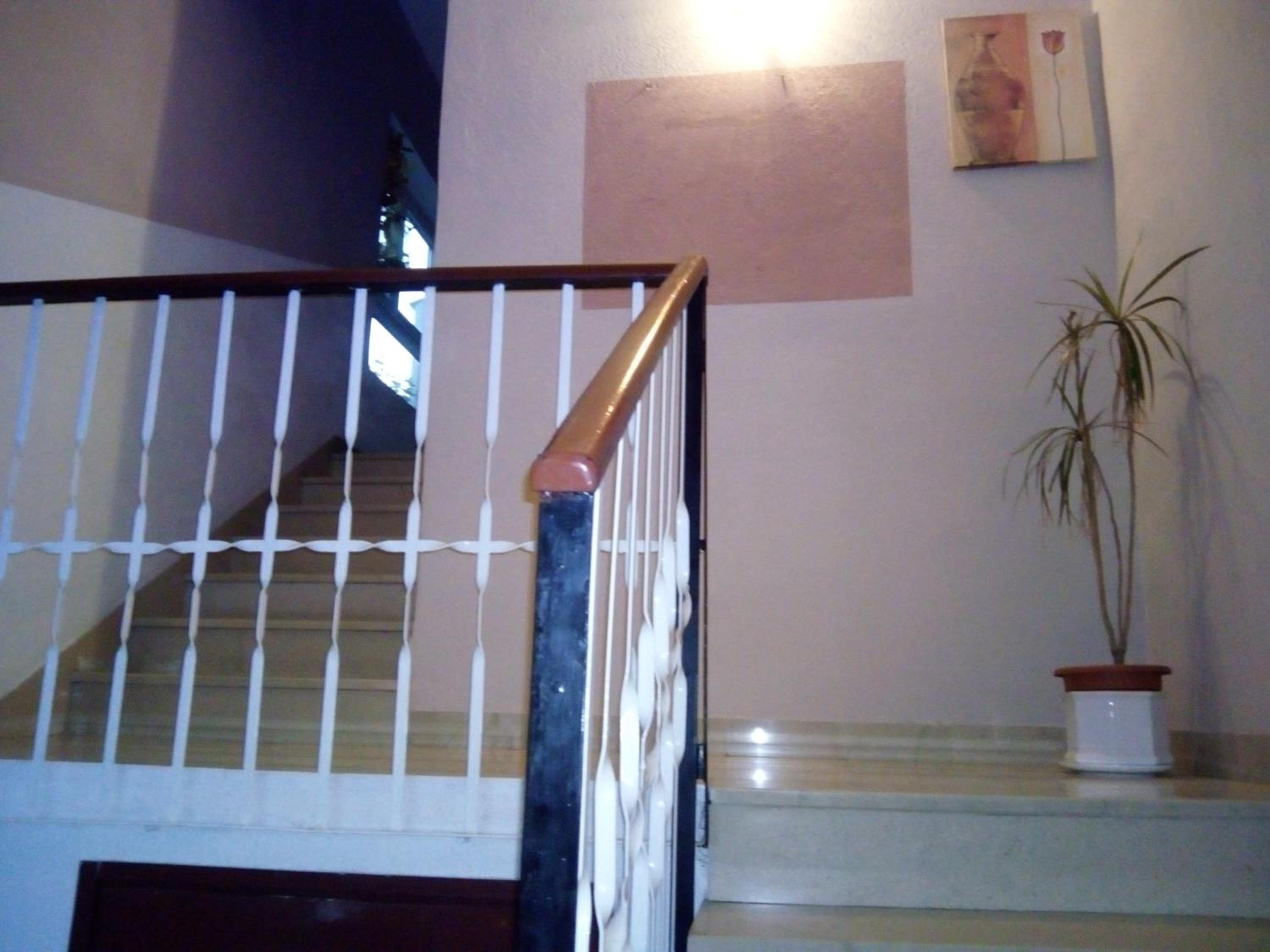 Photo 86