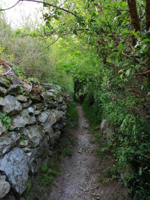Lovely Stone Village cottage in Snowdonia view 4