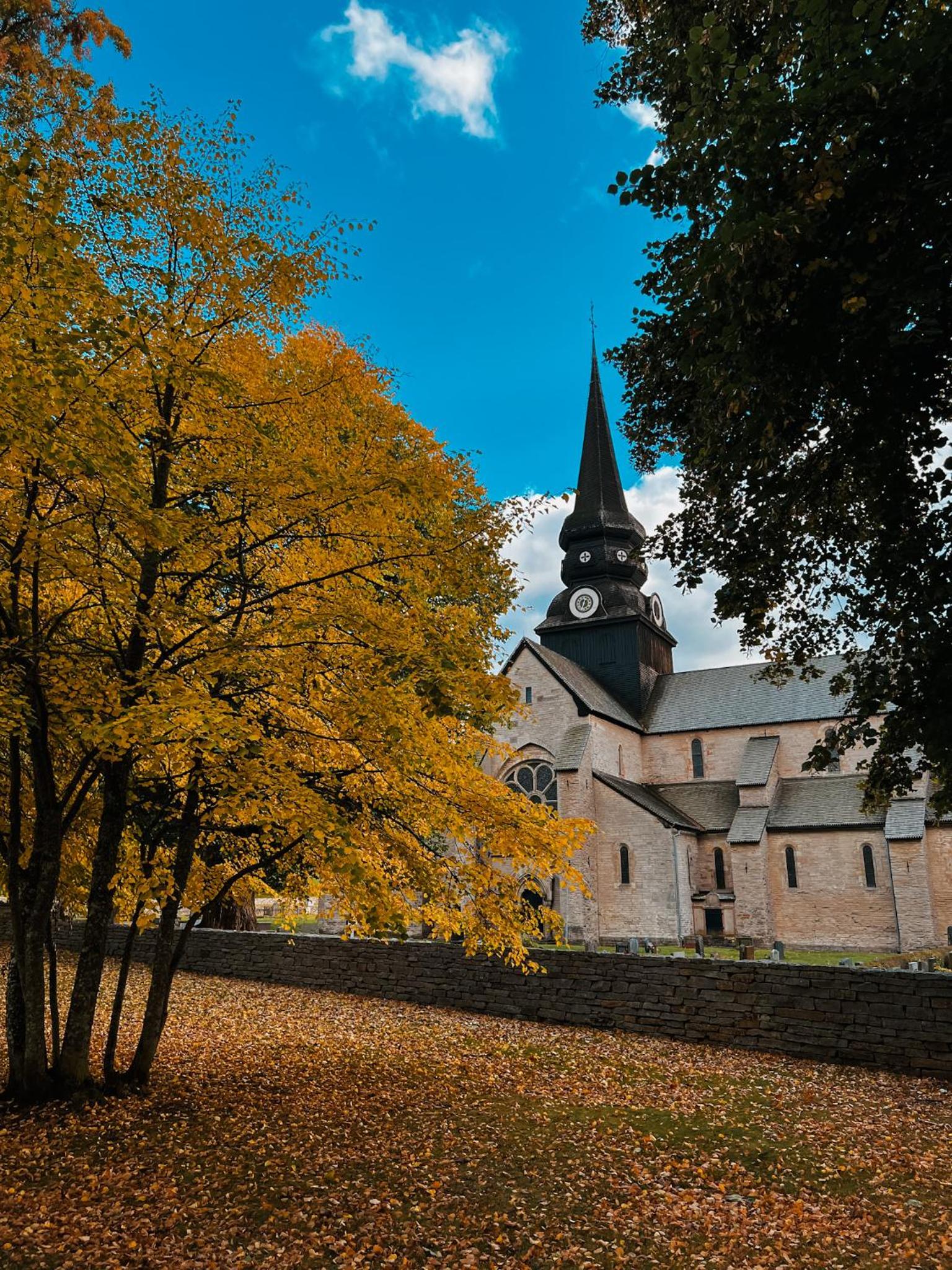 Photo 26