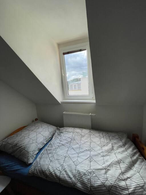 Francis Apartment I- Spa Center Karlovy Vary