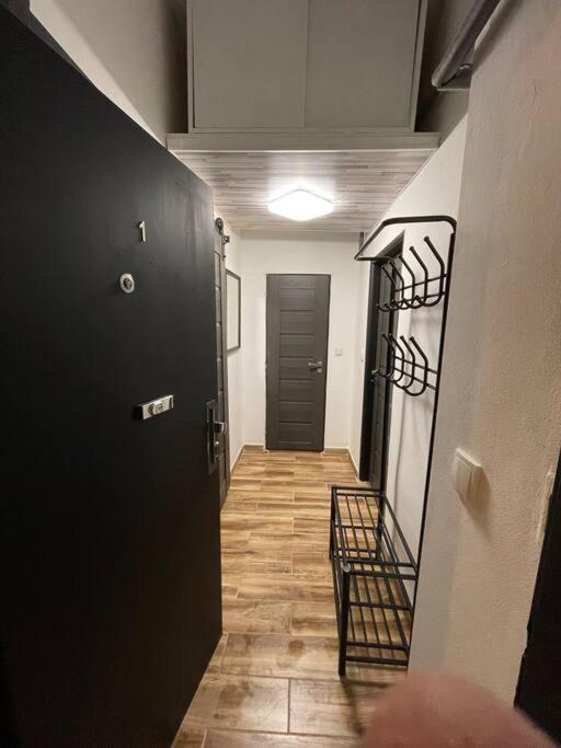 Francis Apartment I- Spa Center Karlovy Vary