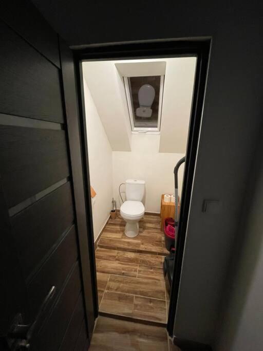 Francis Apartment I- Spa Center Karlovy Vary
