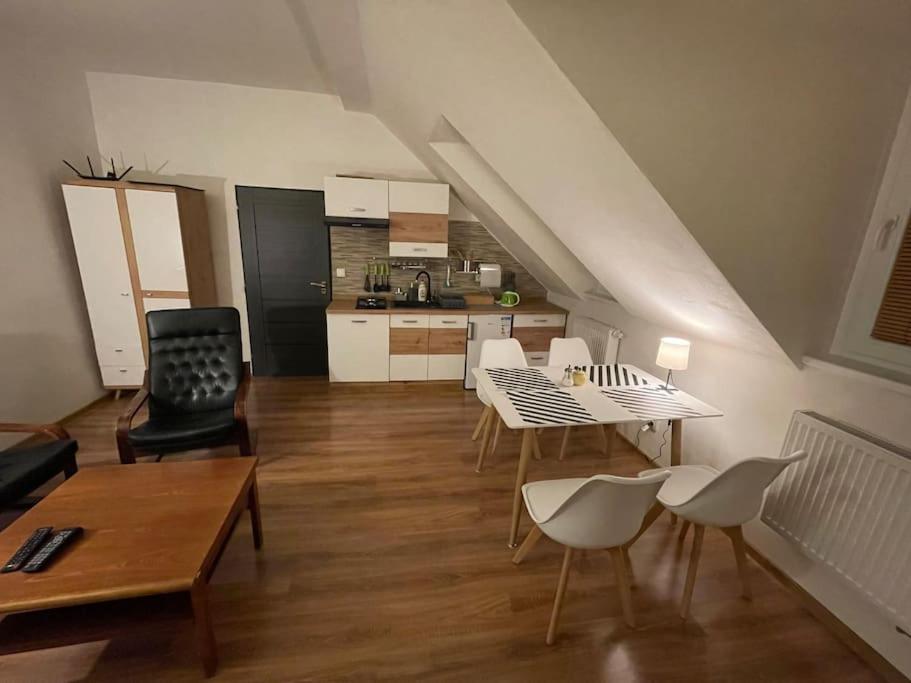 Francis Apartment I- Spa Center Karlovy Vary
