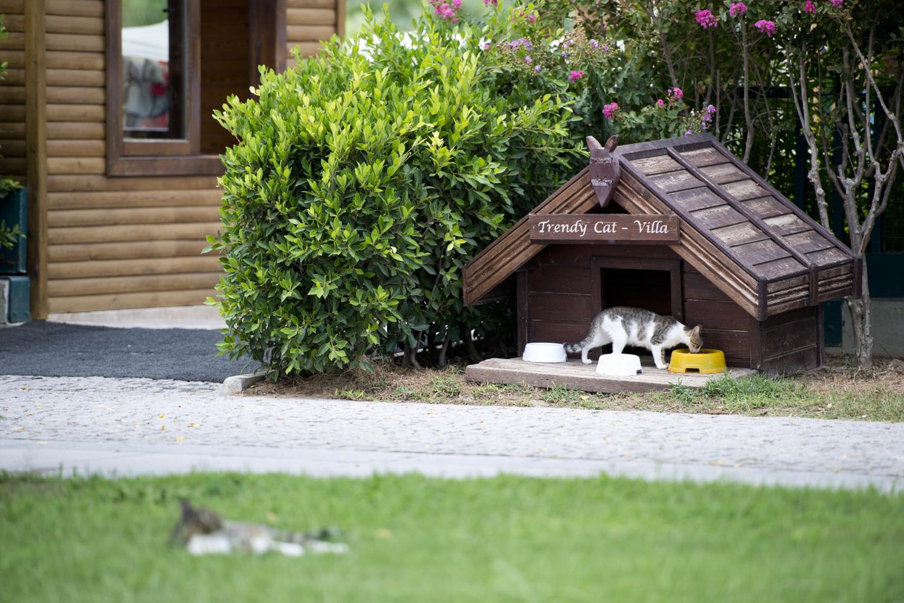 Sentido Trendy Verbena Beach Otel - Image 41