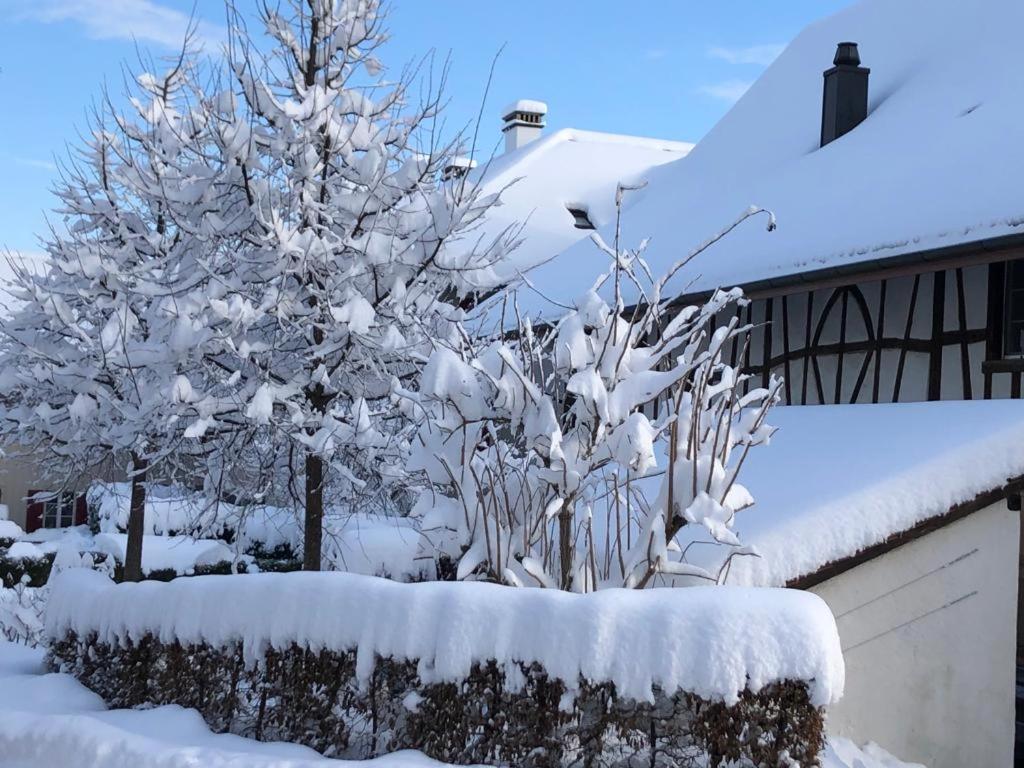 Bed & Breakfast Gaetzi