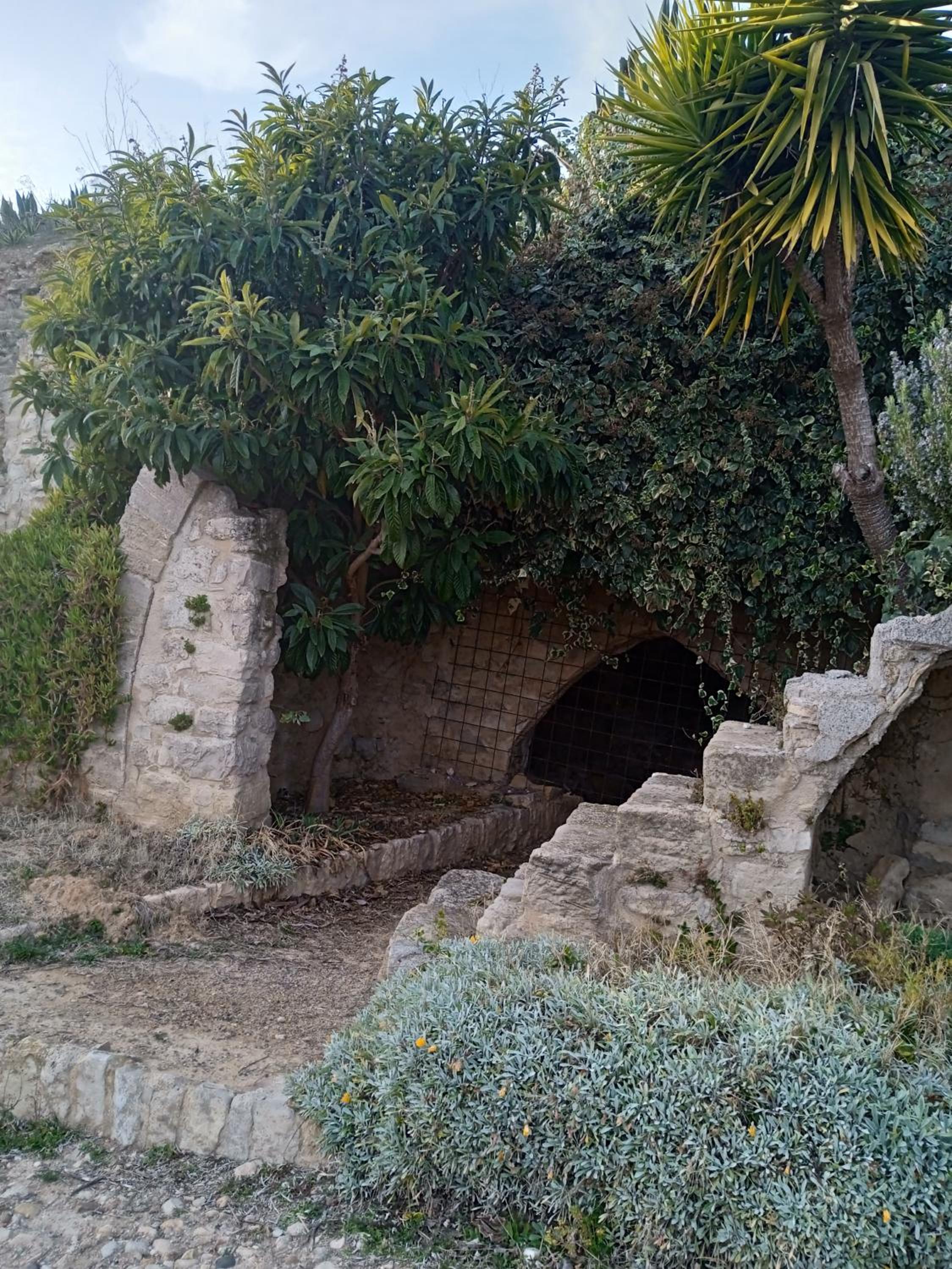 Casa Mónica