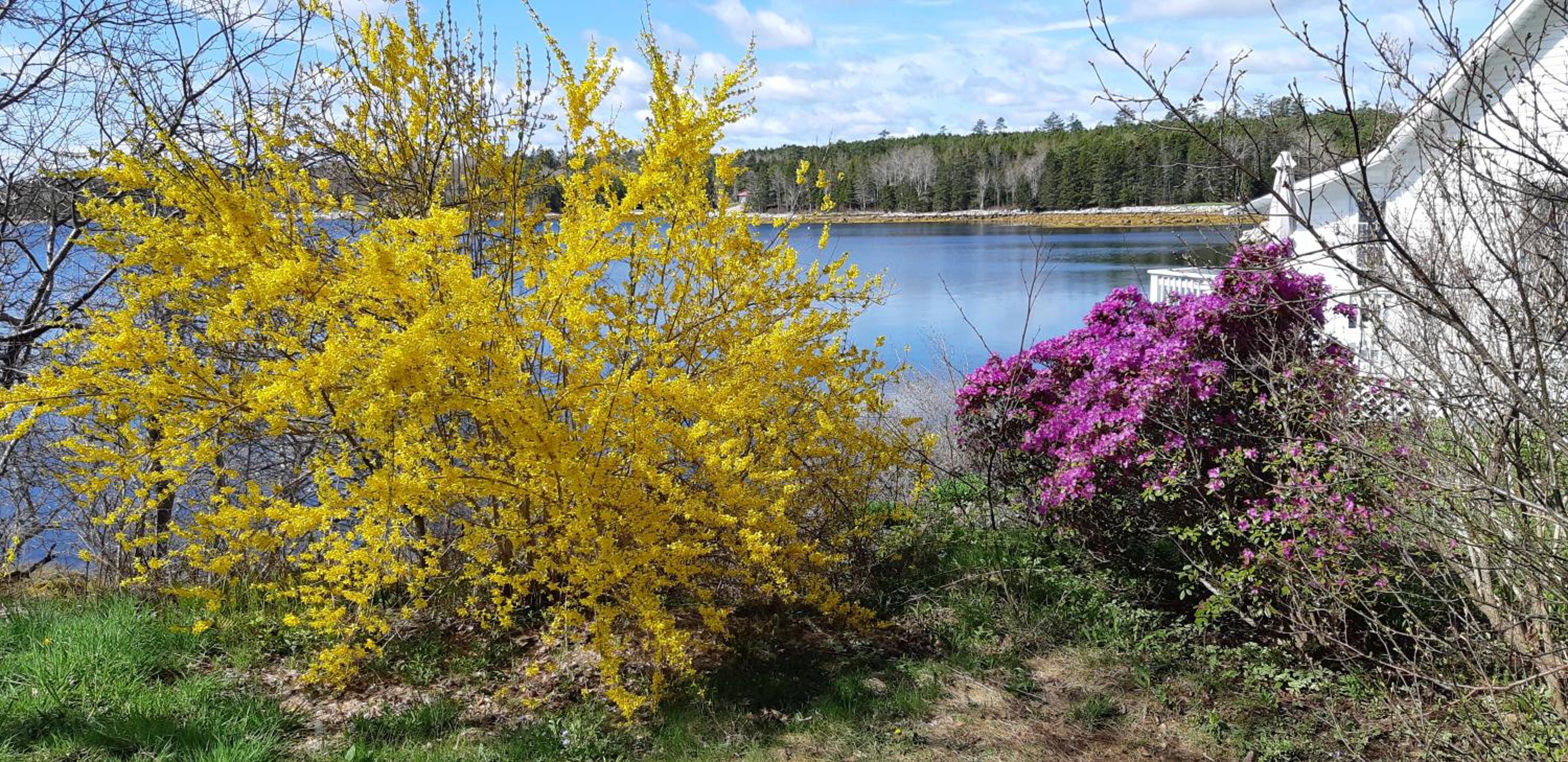 Oceanfront Garden Cottage - Gateway to Attractions and Towns, Private Cove Mooring