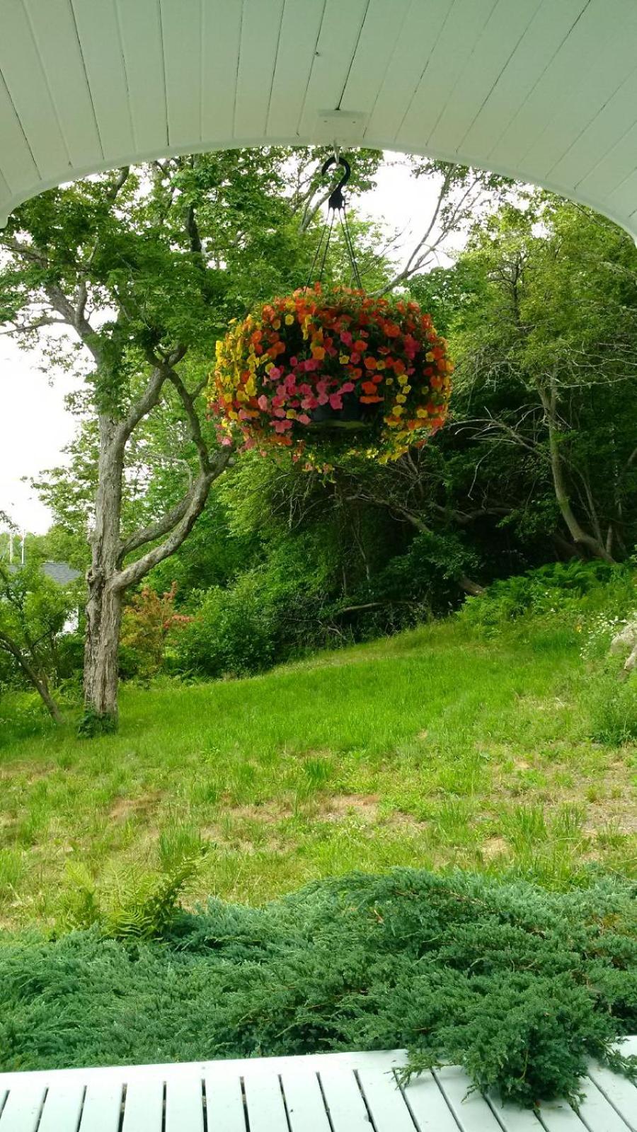 Oceanfront Garden Cottage - Gateway to Attractions and Towns, Private Cove Mooring