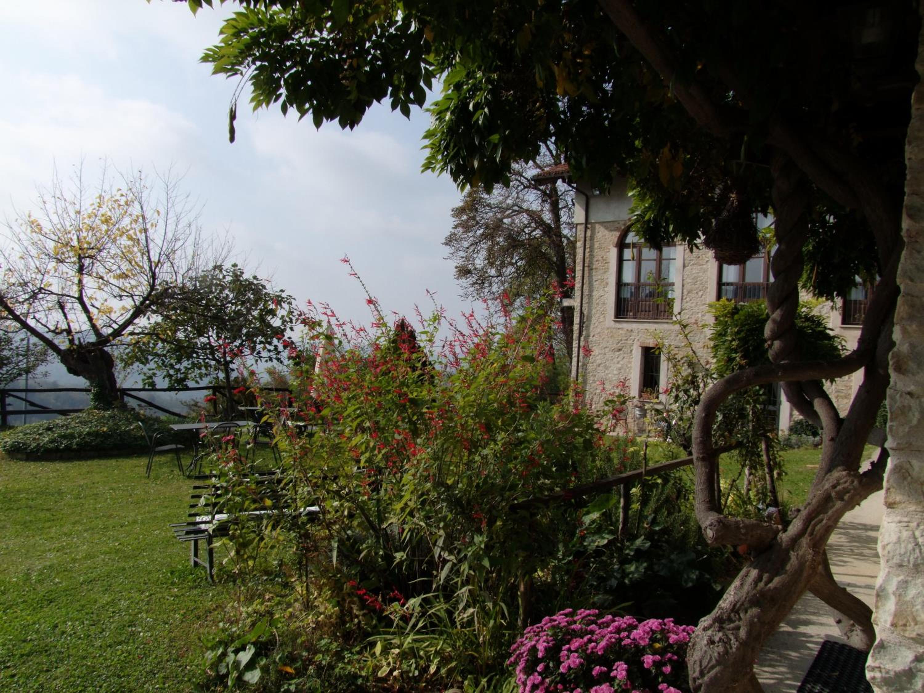 Photo 17