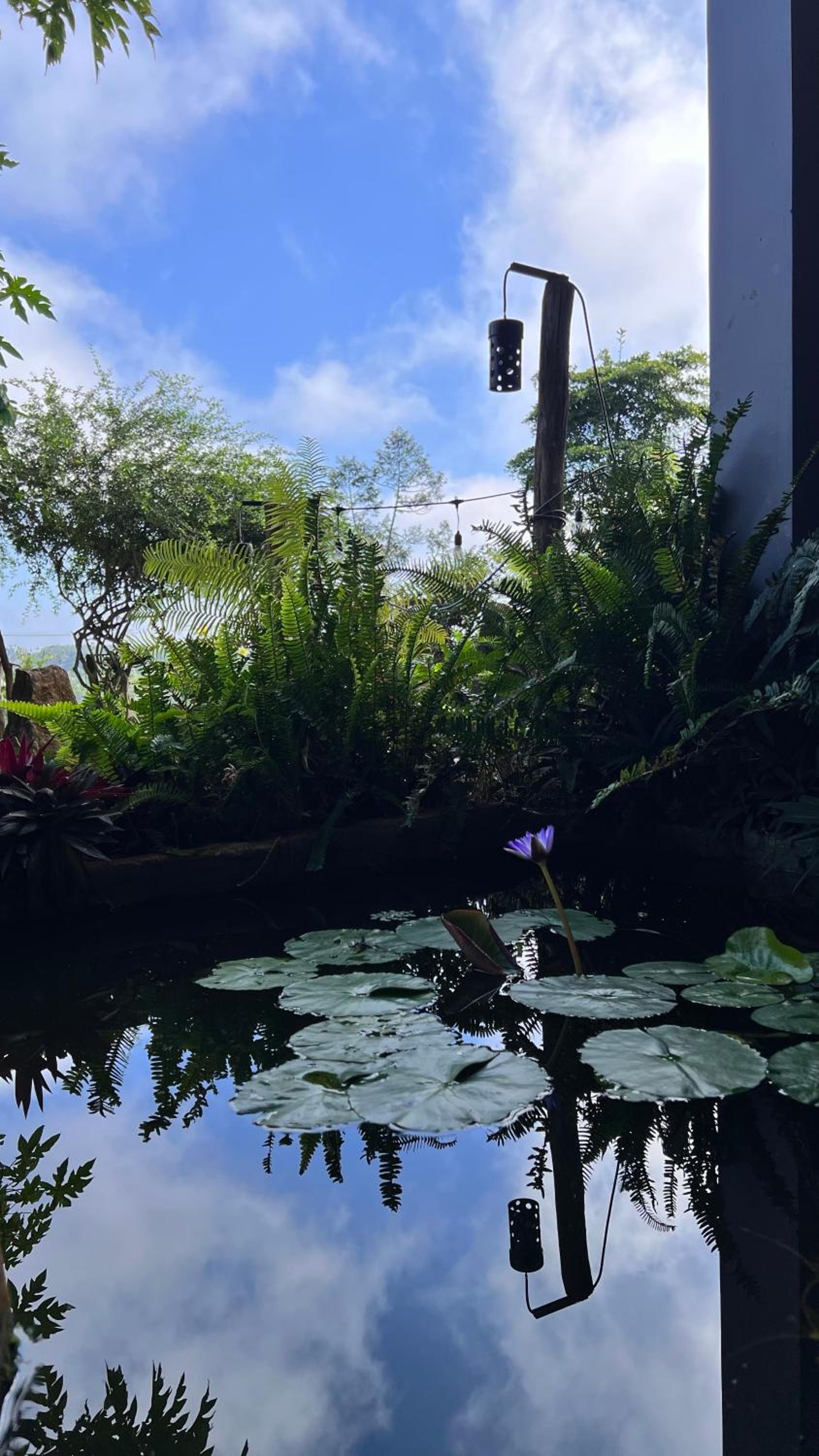 MeGarden Daknong