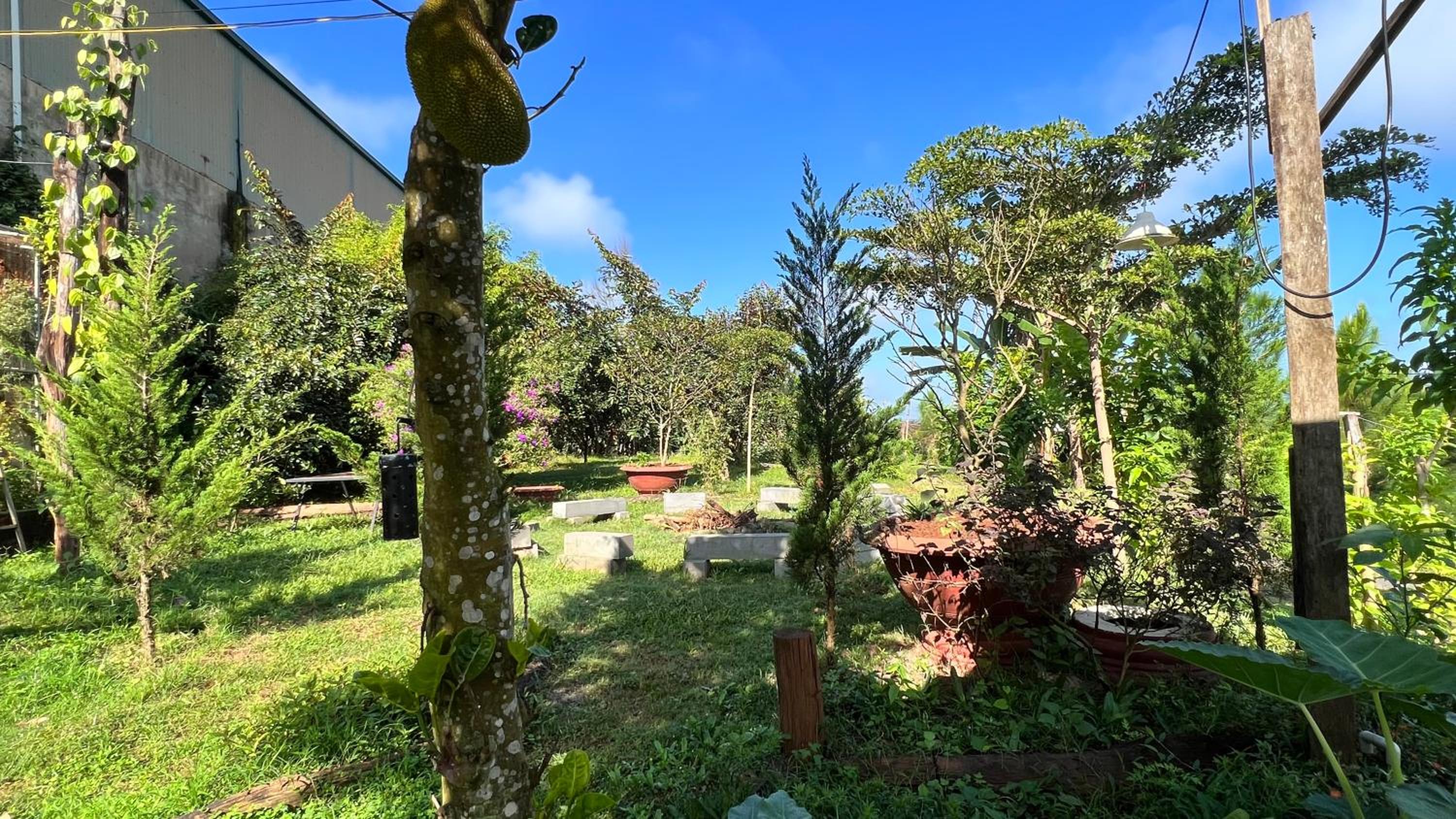 MeGarden Daknong