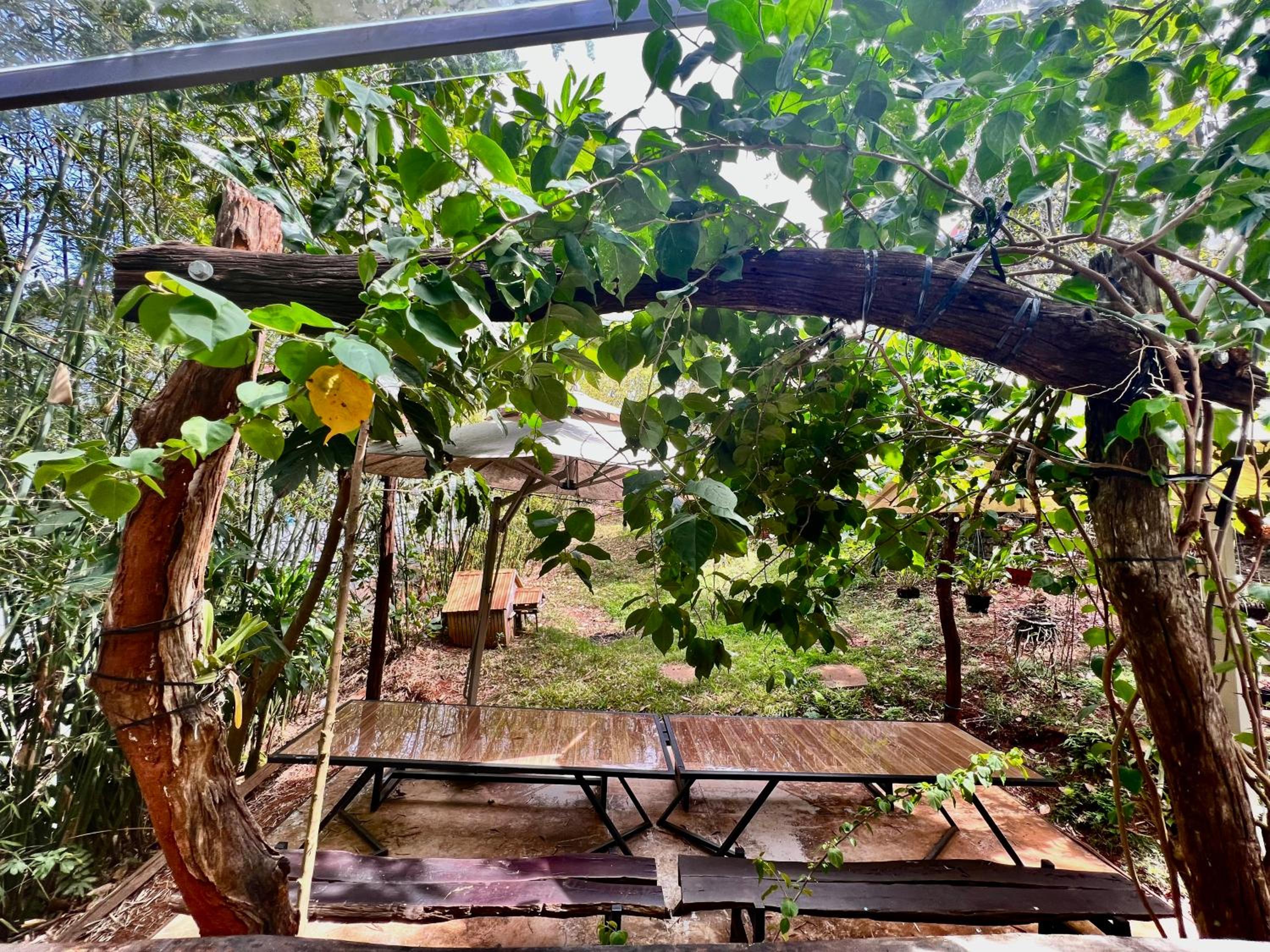 MeGarden Daknong