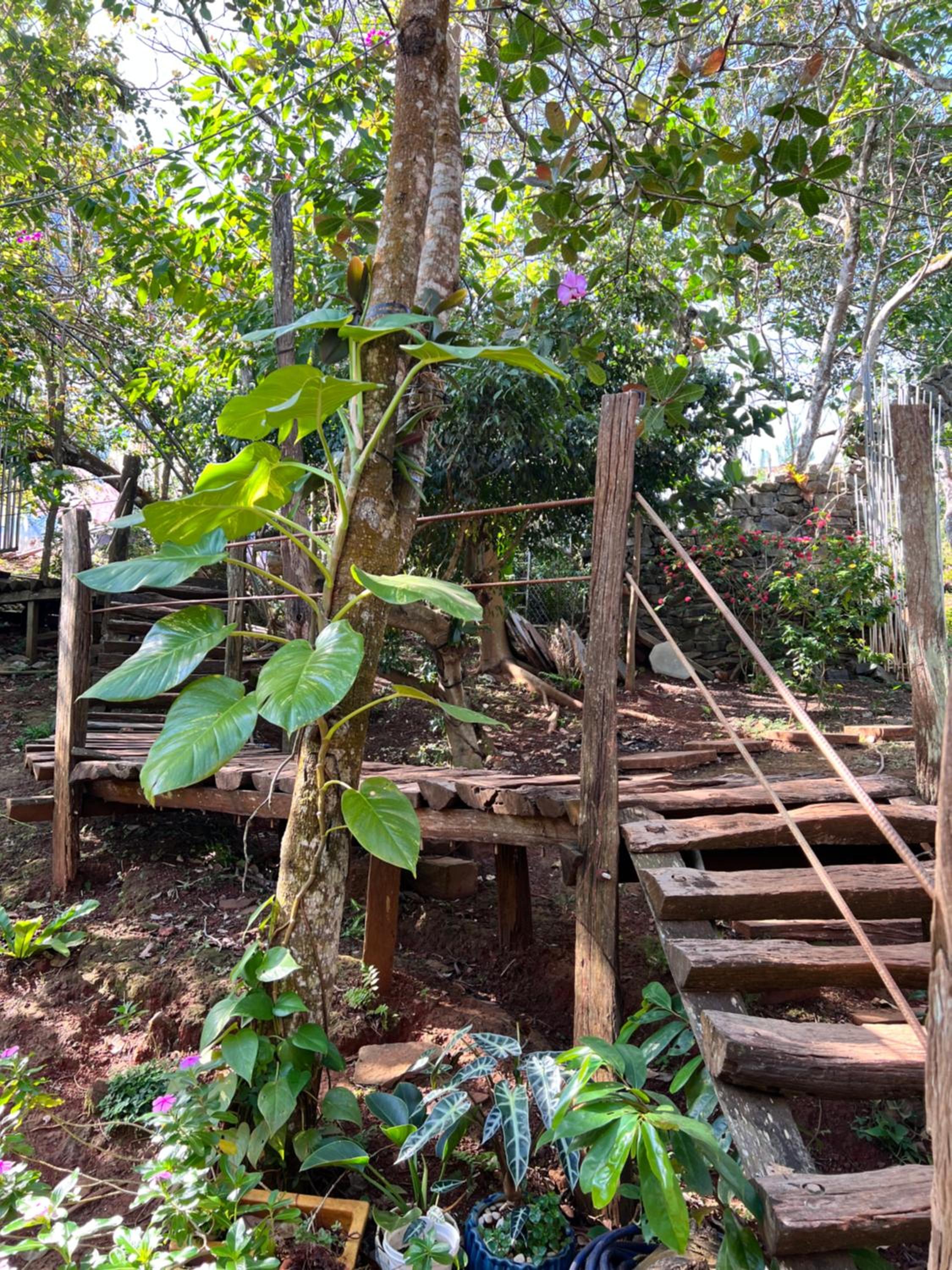 MeGarden Daknong
