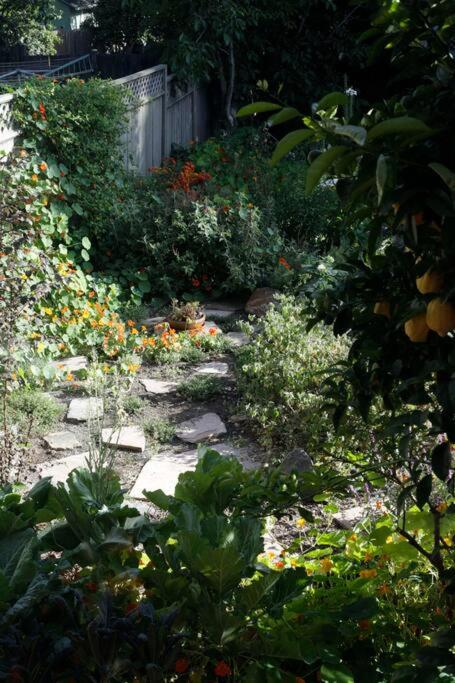 Beautiful, Historic Family Home near Lake Merritt view 3