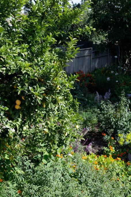 Beautiful, Historic Family Home near Lake Merritt view 5