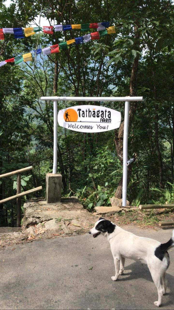 Tathagata Farm view 2