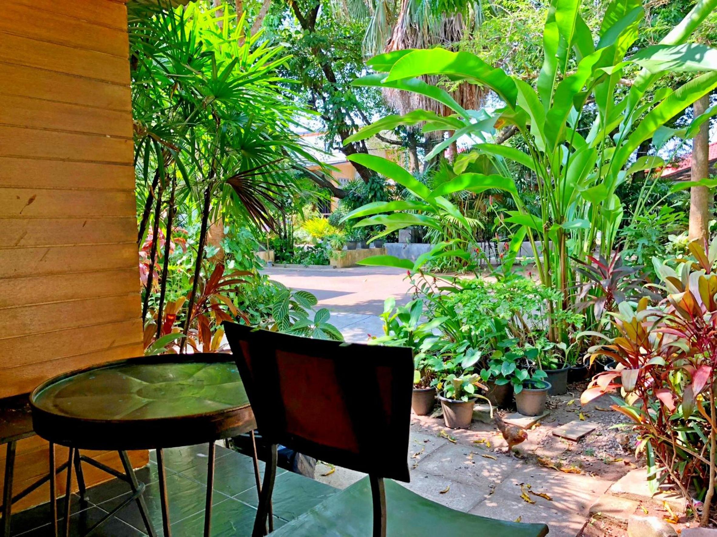 Likita Resort, photo 16